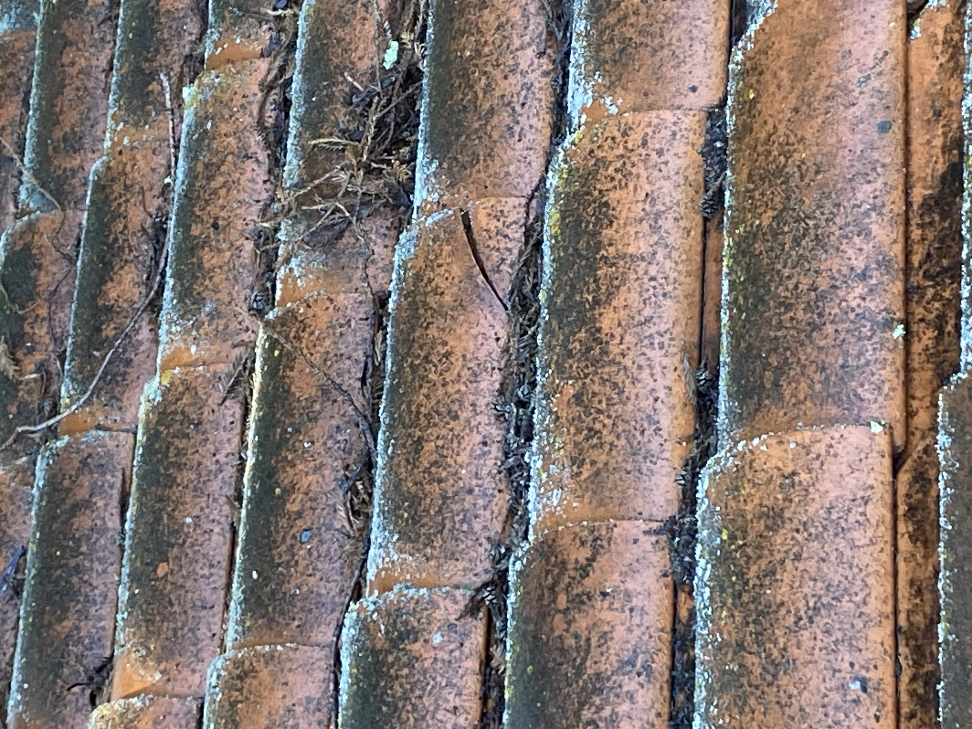 Before — Atherton terracotta roof with algae growth before soft wash