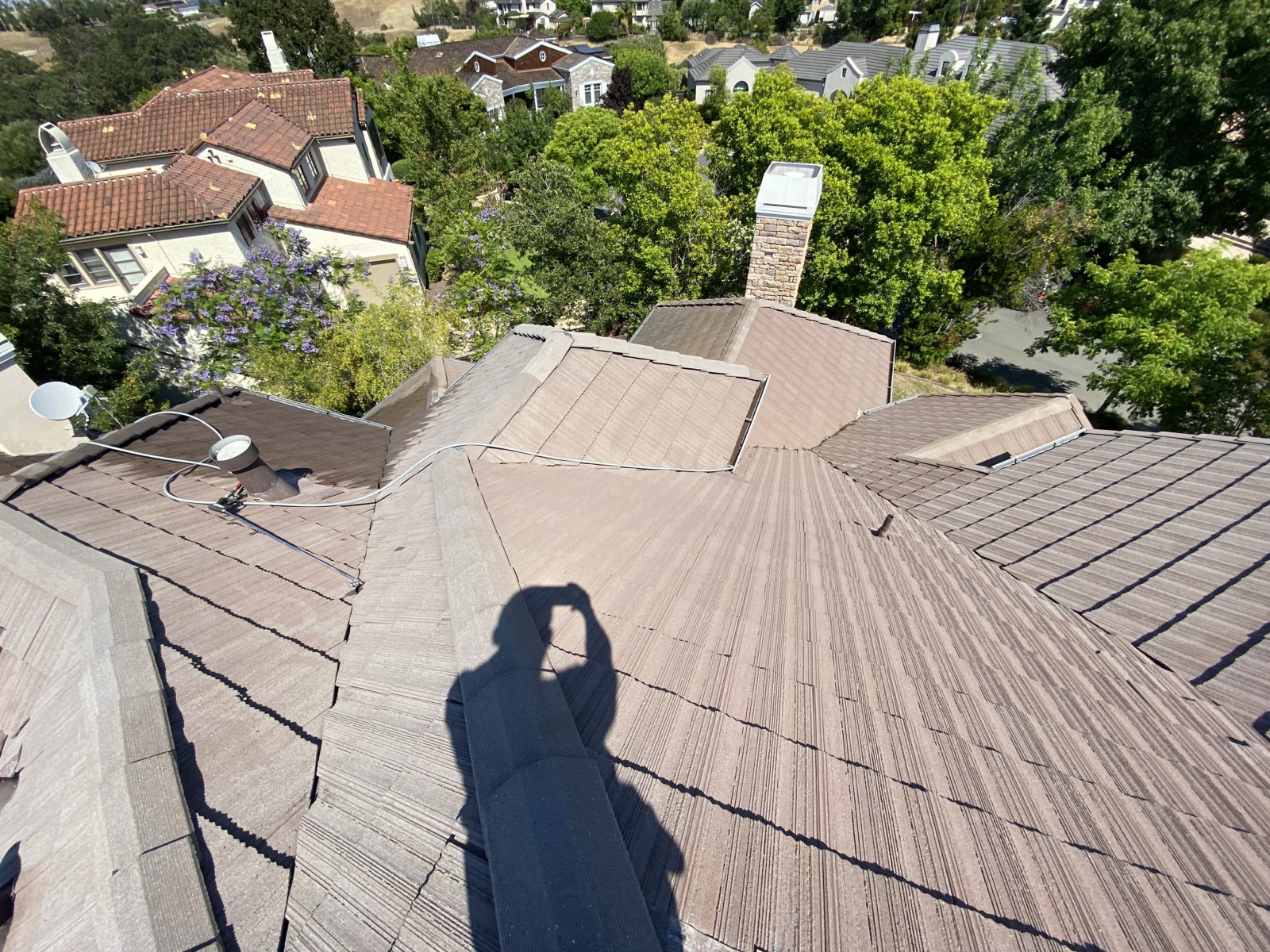 After — Cupertino concrete tile roof cleaned, biological growth eliminated