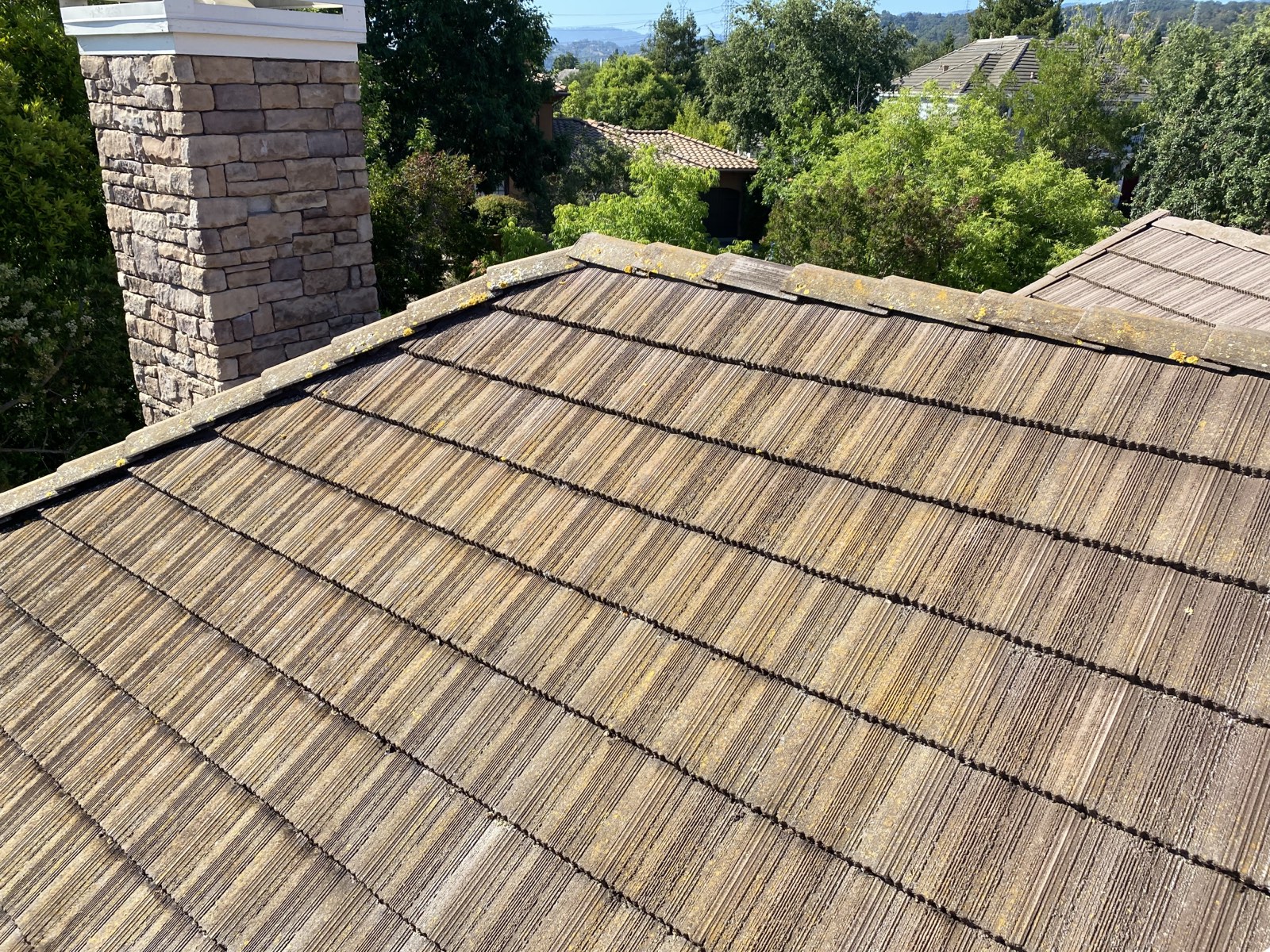 Before — Cupertino flat tile roof overview showing extent of growth before clean
