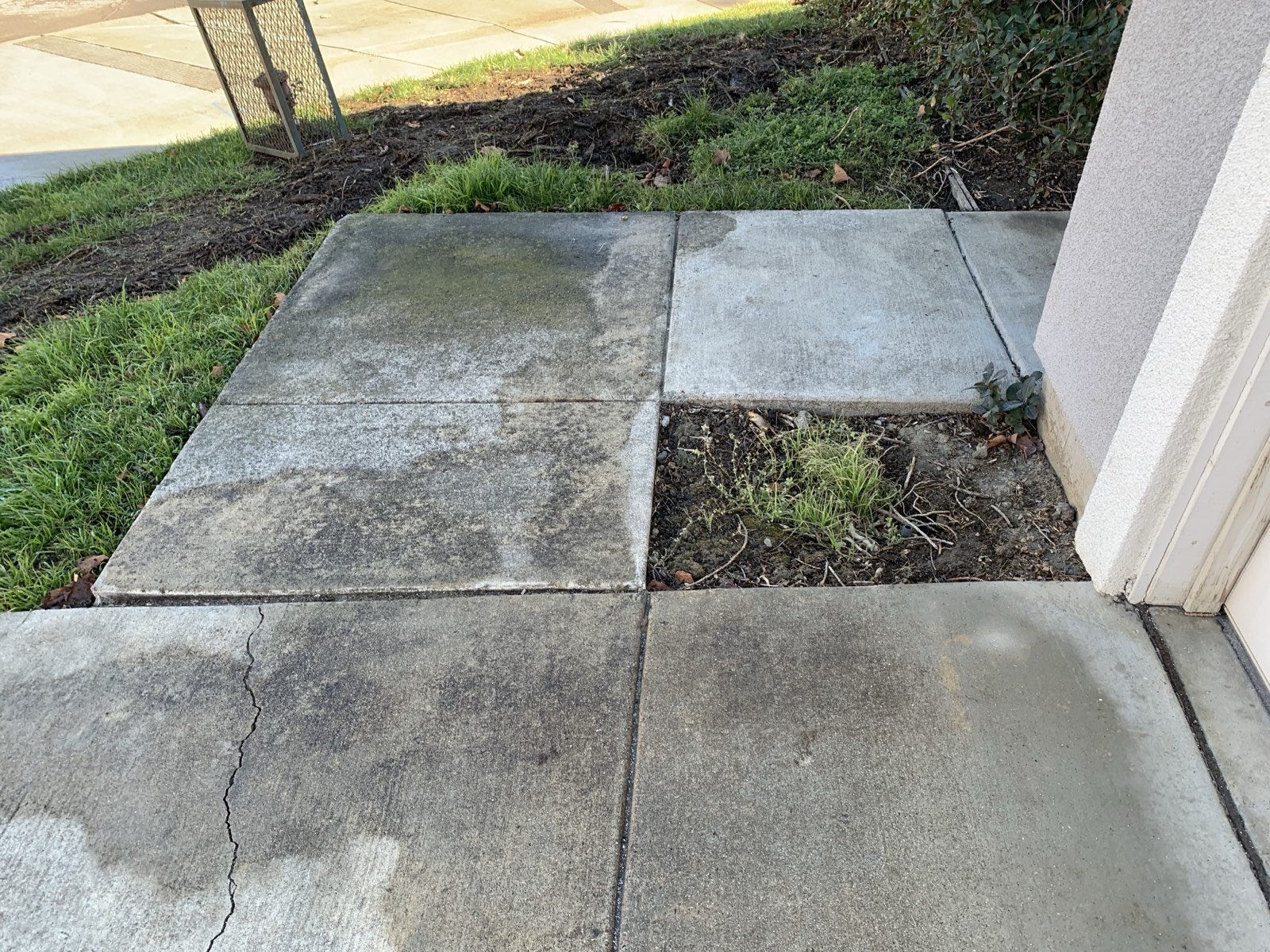 Before — front walkway slabs at a Fremont home covered in gray-green algae film and dark organic staining