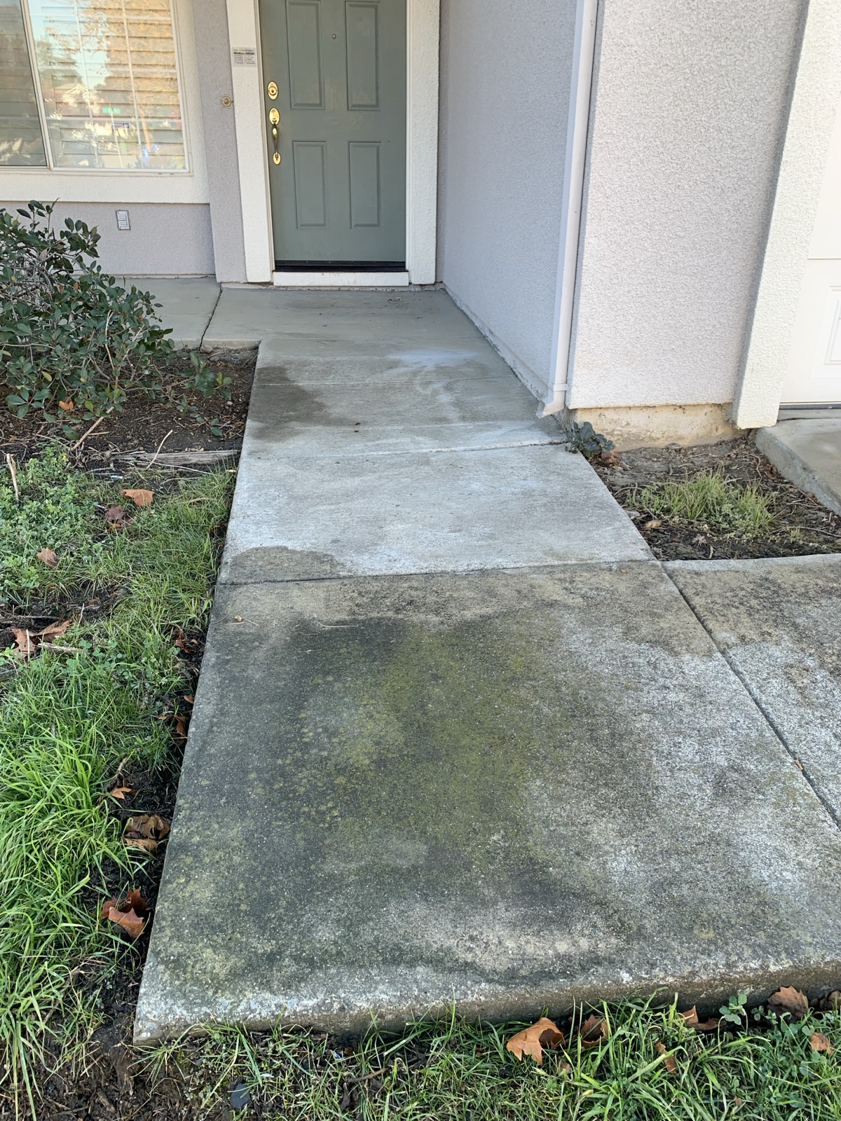 Before — Fremont entry walkway with heavy gray-green algae growth on the shaded slabs