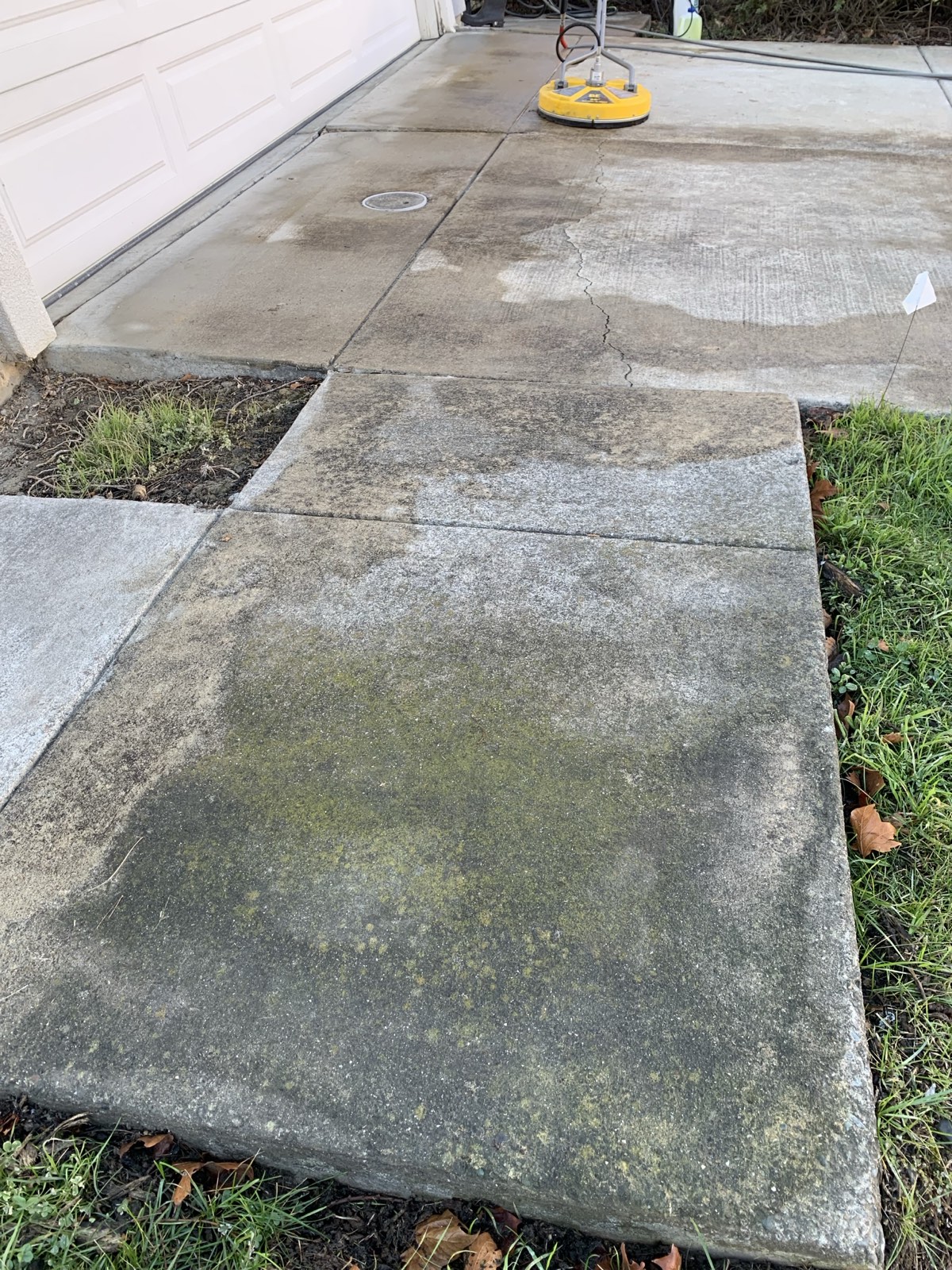 Before — algae-covered slab at the edge of the Fremont driveway, rotary surface cleaner staged by the garage
