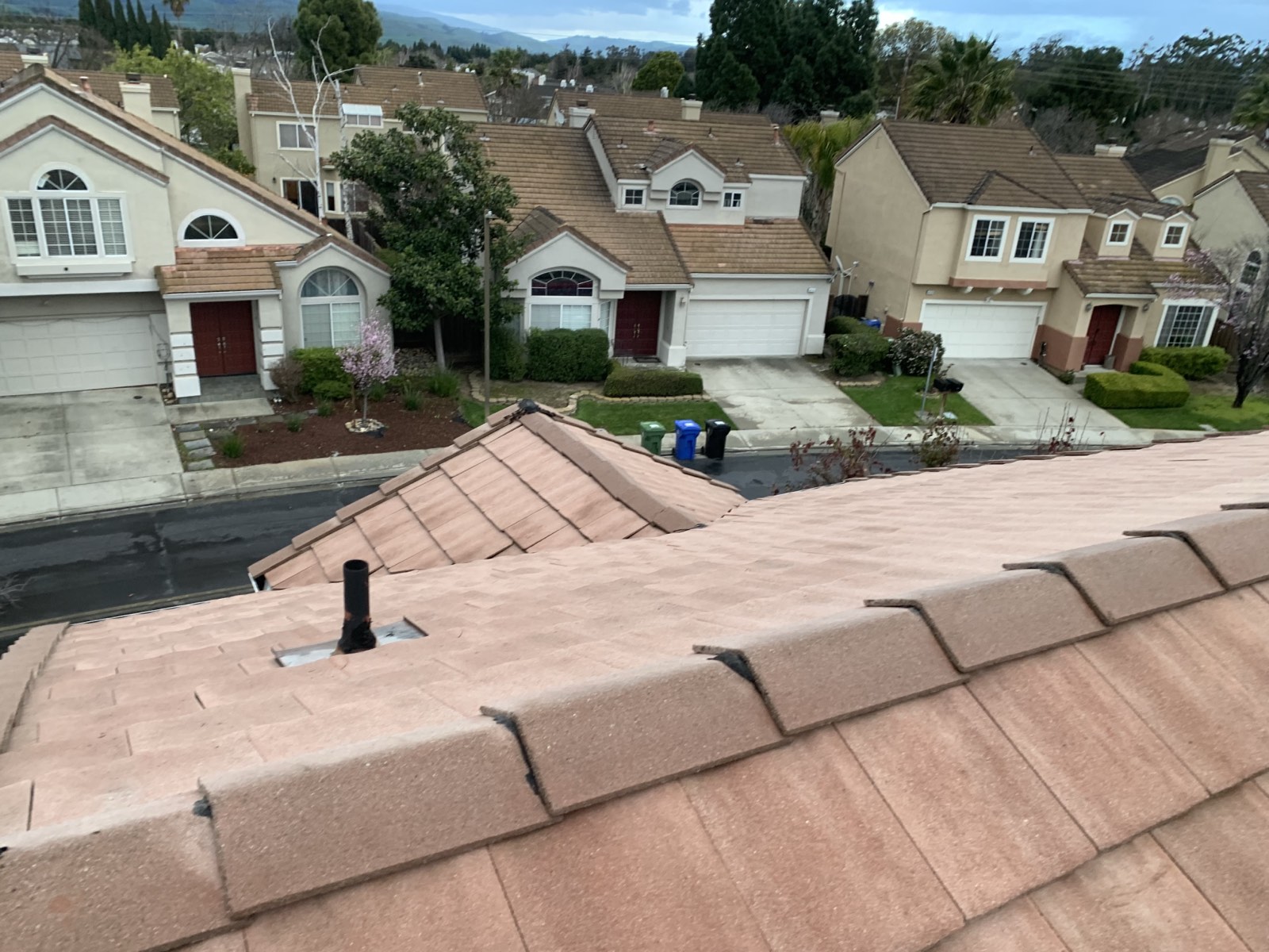 After — Fremont roof tile row clean, lichen removed