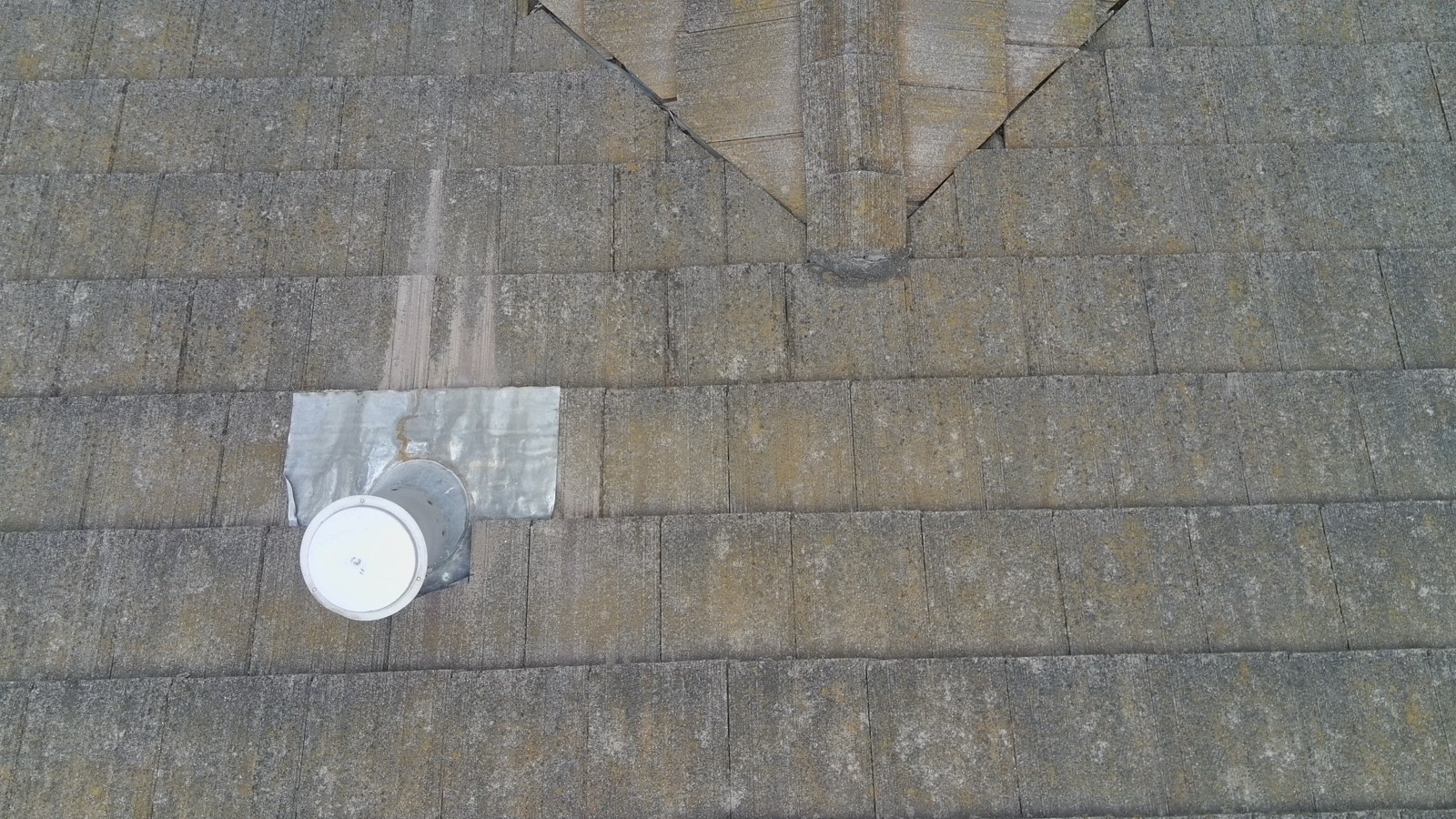 Before — Fremont flat concrete tile with dark staining before soft wash