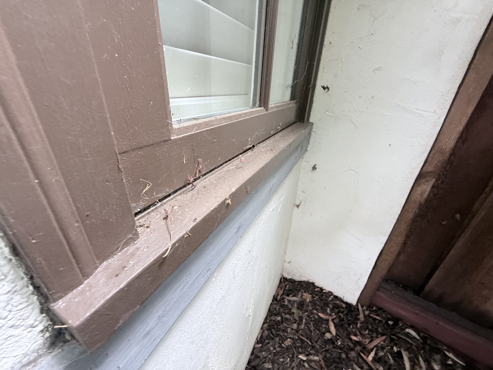 Before — Los Gatos window sill and brown wood frame coated in cobwebs, dust, and debris
