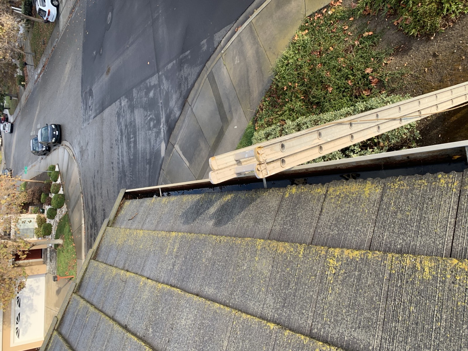 Before — Milpitas concrete tile roof algae coverage close-up
