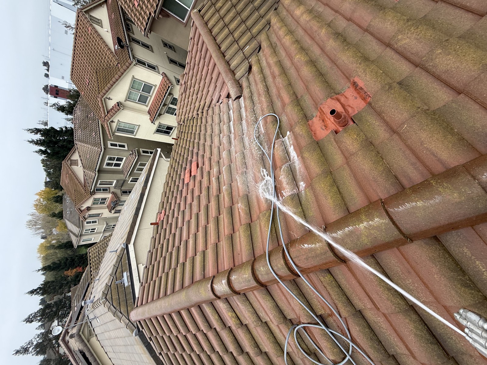 Before — Milpitas concrete S-tile roof with algae and moss buildup