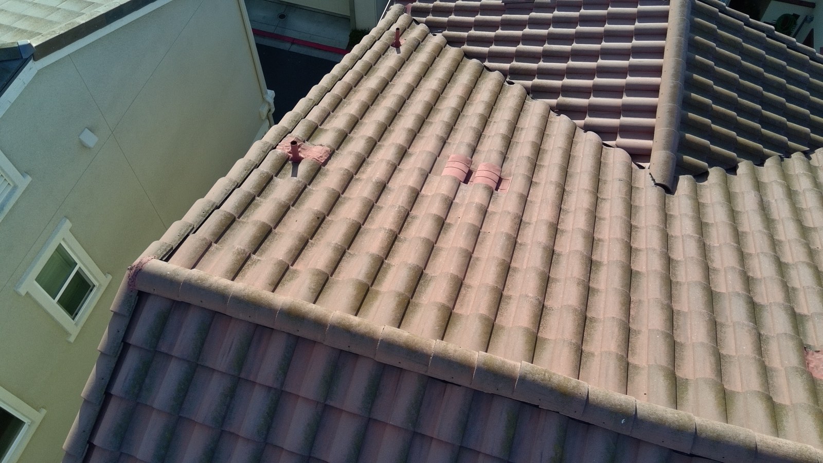 Before — Milpitas concrete tile roof with lichen and organic staining