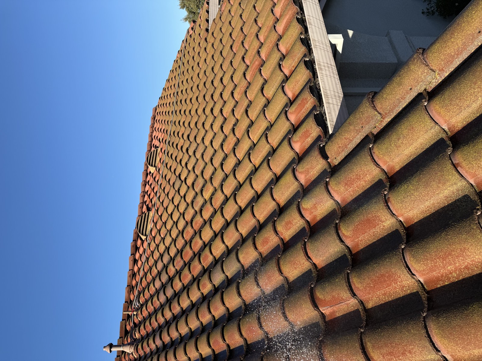 Before — Milpitas townhouse S-tile roof with heavy organic growth