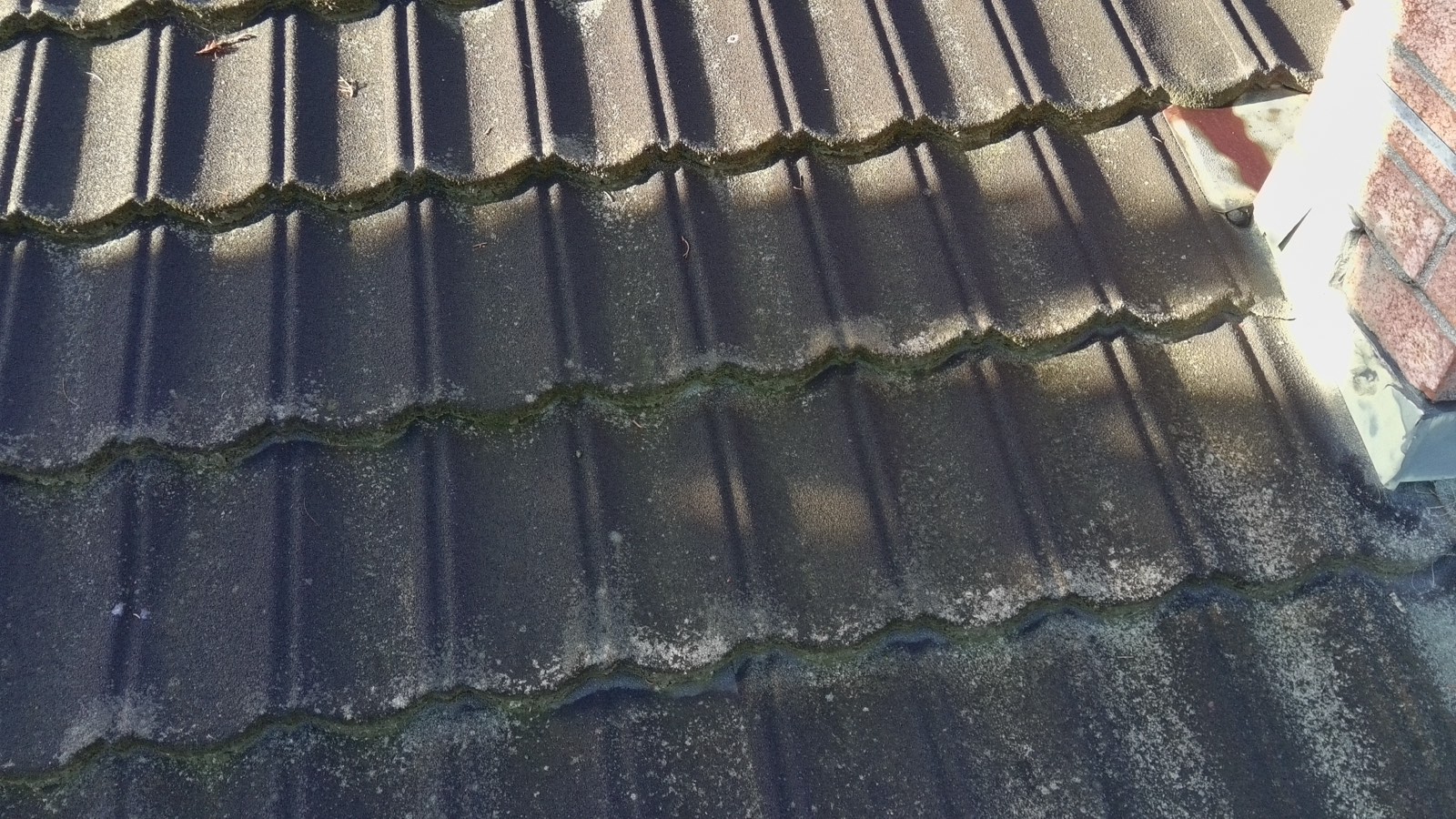 Before — Monte Sereno roof valley with moss and debris accumulation