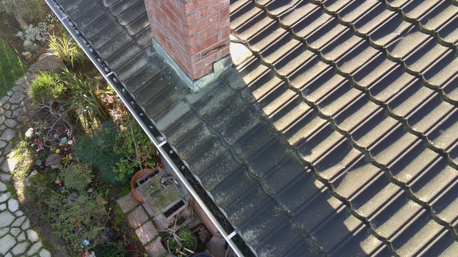 Before — Monte Sereno roof tiles with moss spreading across surface