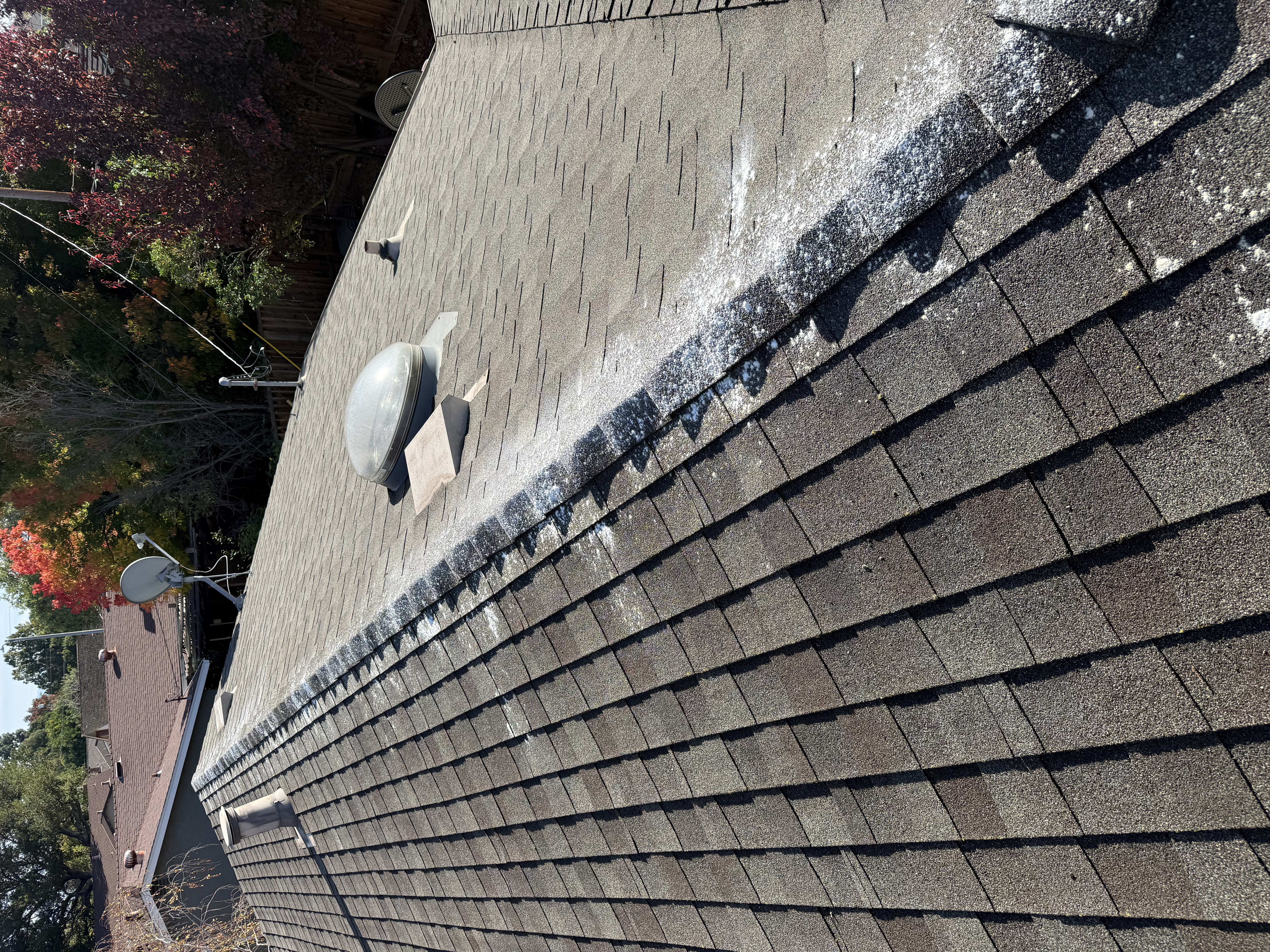After — Mountain View asphalt shingle roof clean after soft wash treatment