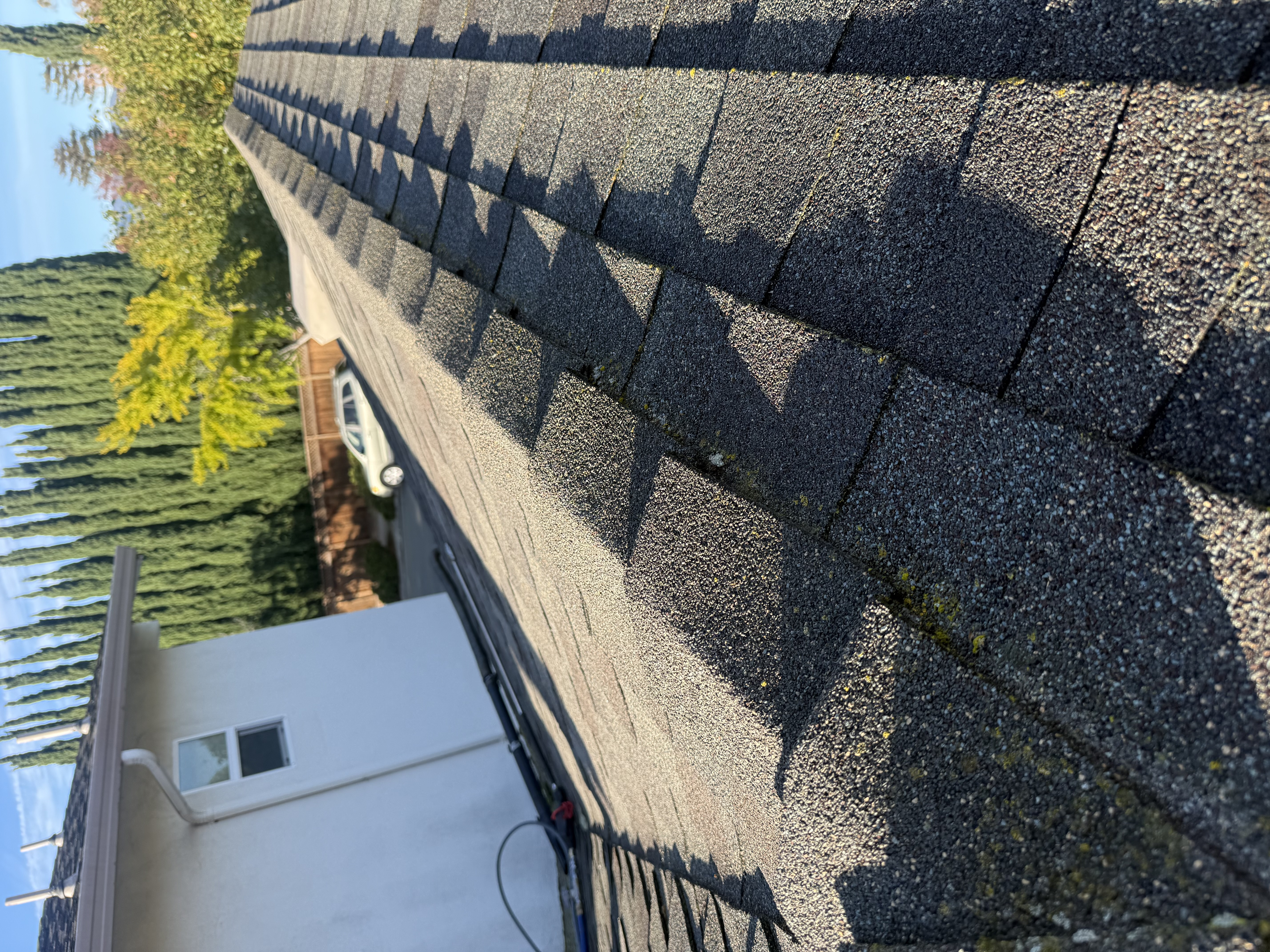Before — Mountain View roof algae coverage on north-facing planes
