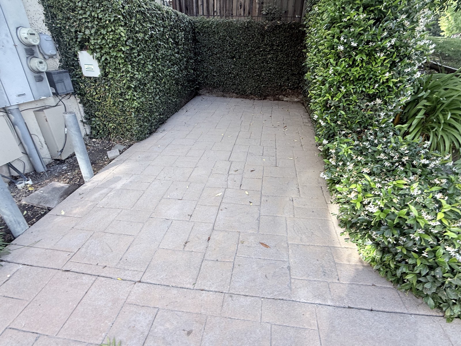 After — cleaned stamped concrete parking pad between trimmed hedges at the Mountain View townhome community