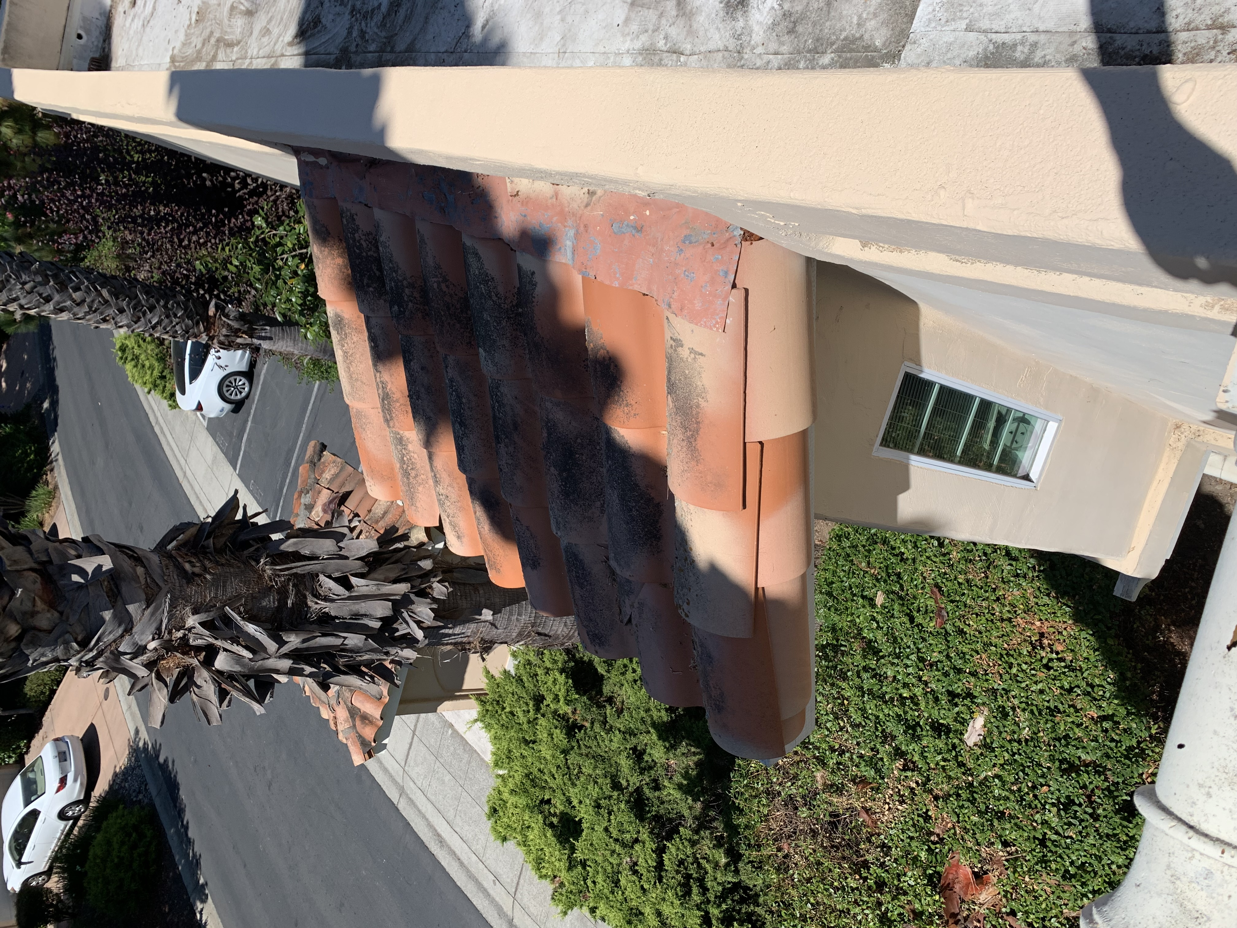 After — Mountain View fresh exterior paint applied over prepped surface