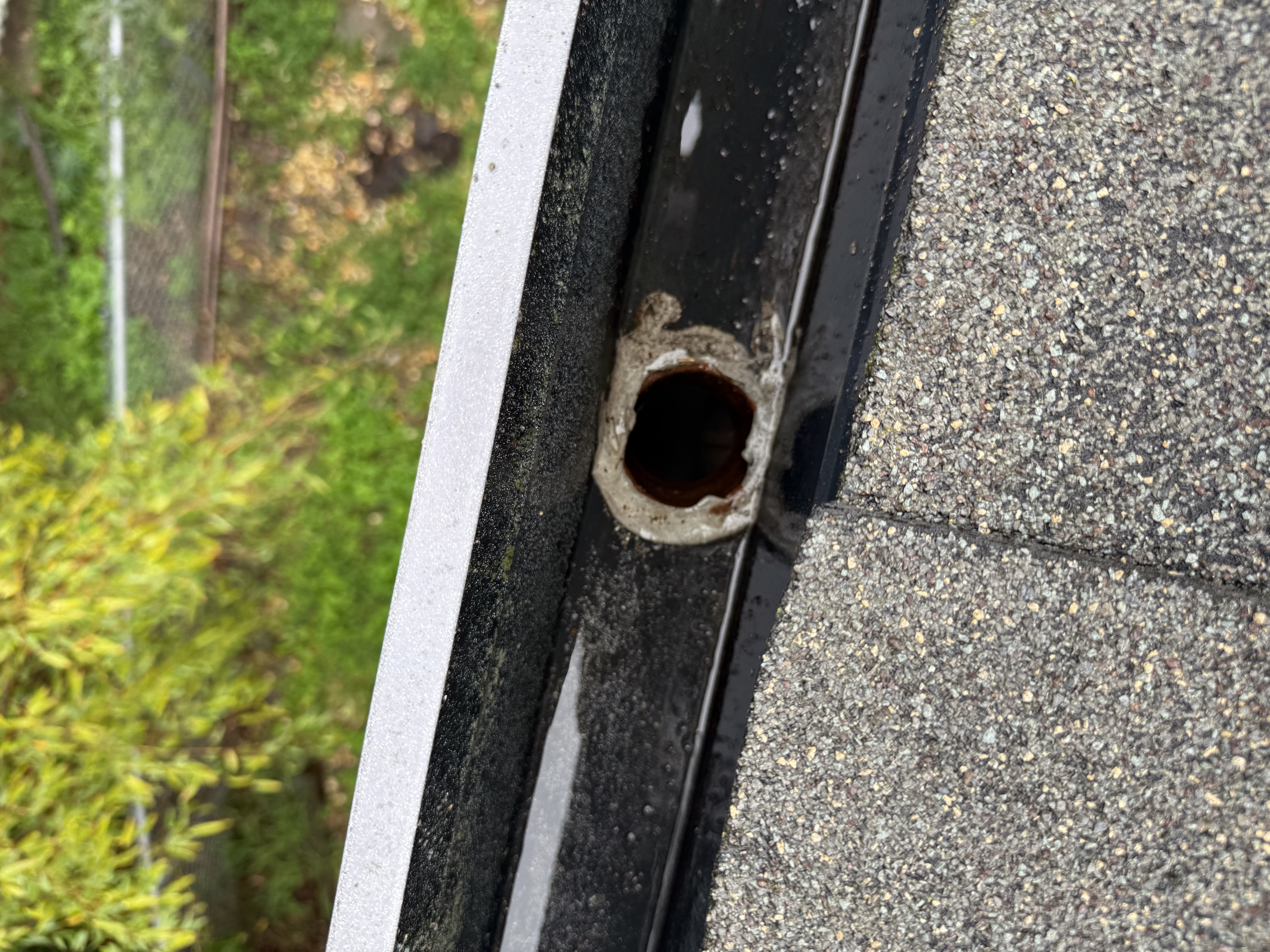 After — Oakland Hills roof cleared of leaves and needle debris
