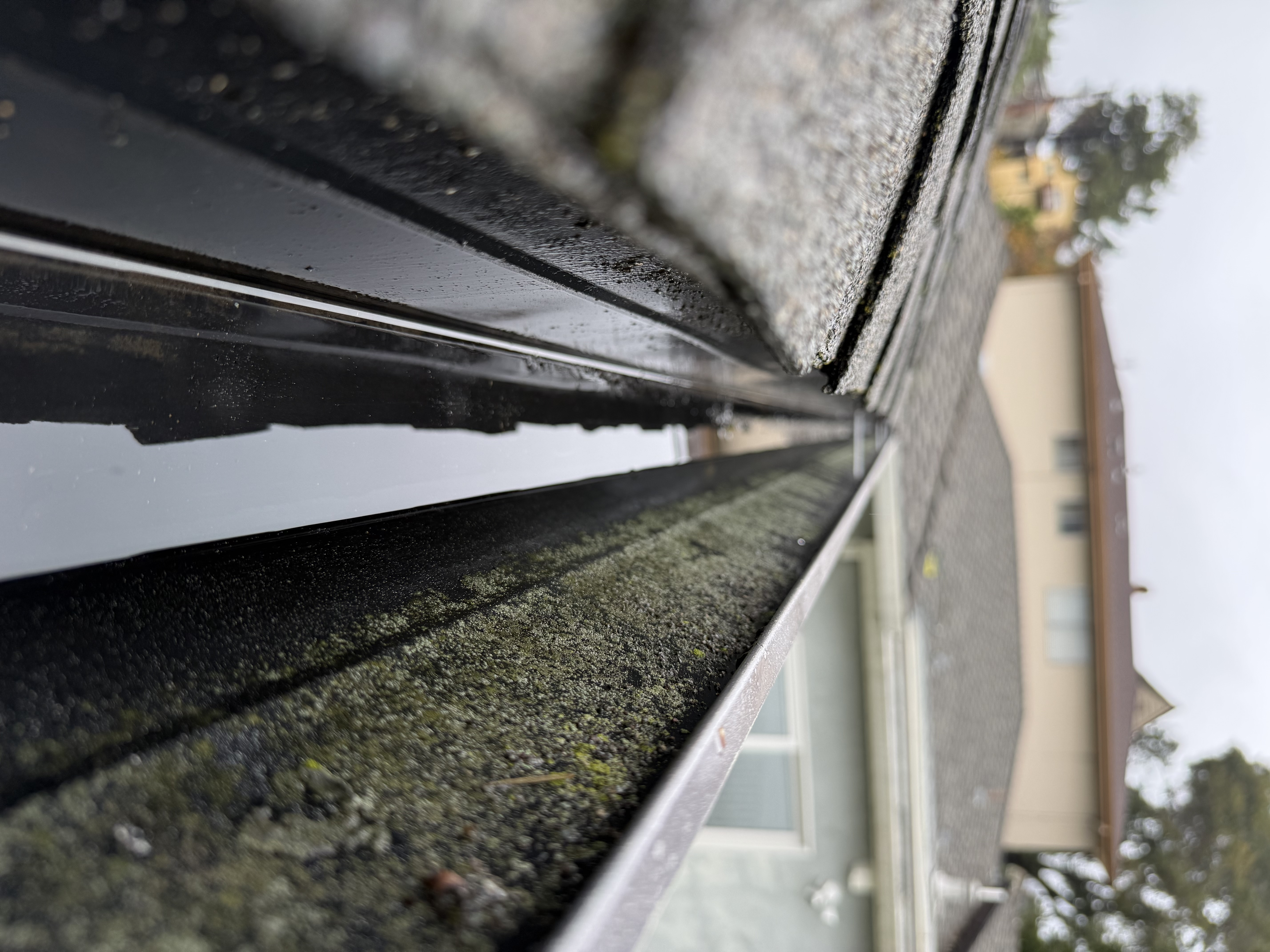 After — Oakland Hills gutter cleaning complete, draining freely