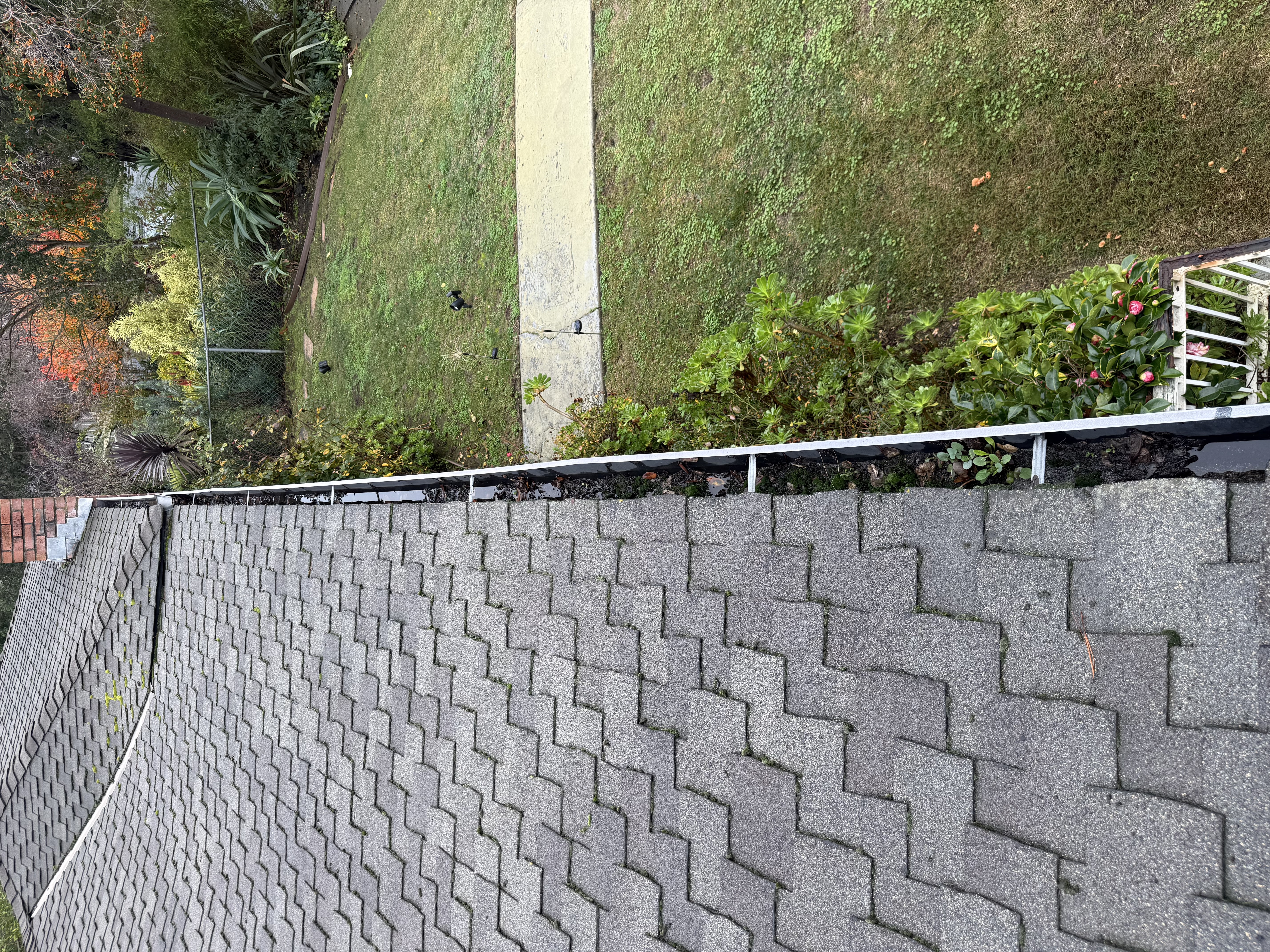 Before — Oakland Hills gutters packed with leaves and debris before cleaning