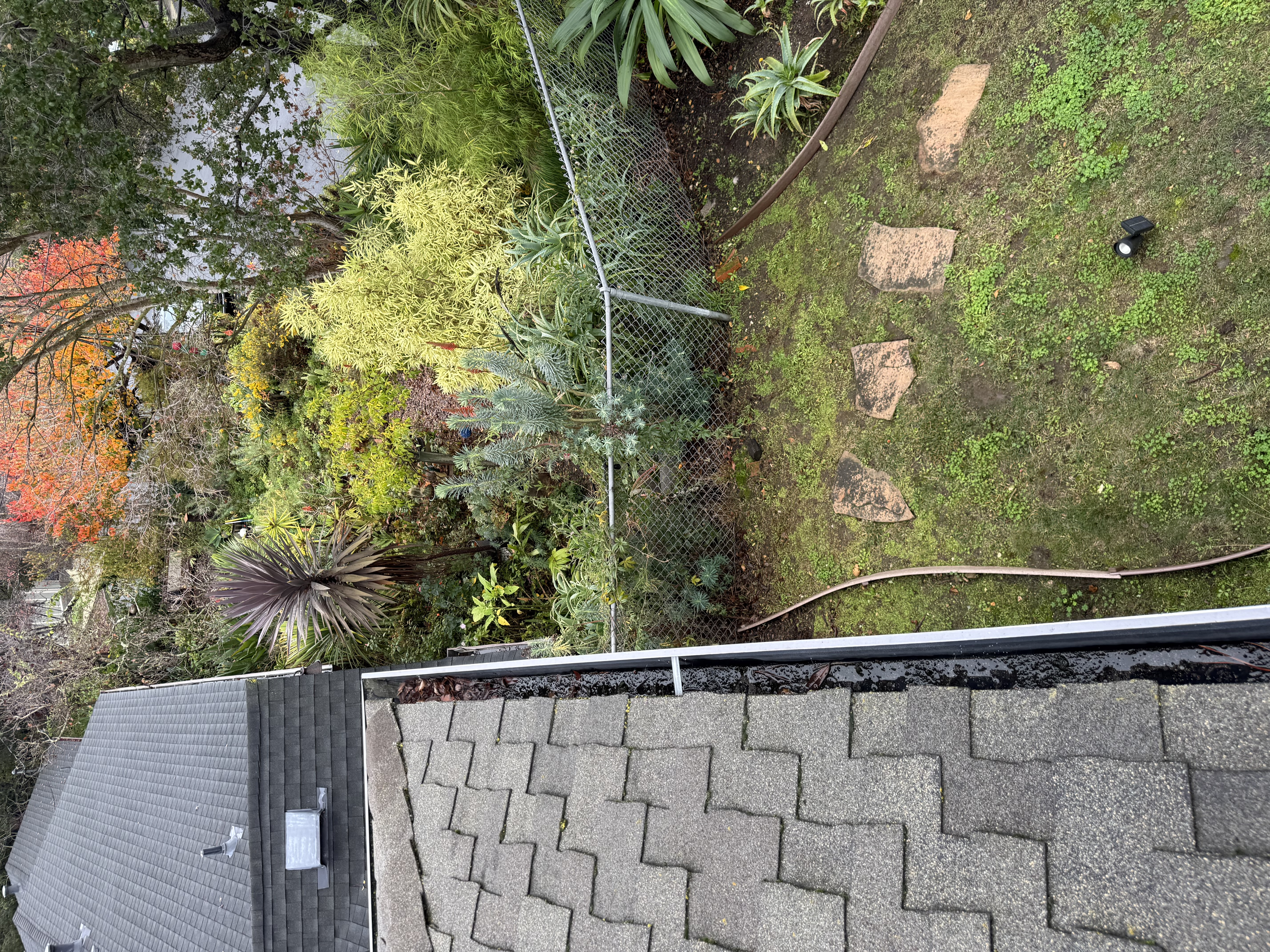 Before — Oakland Hills gutter blocked with pine needles and organic buildup