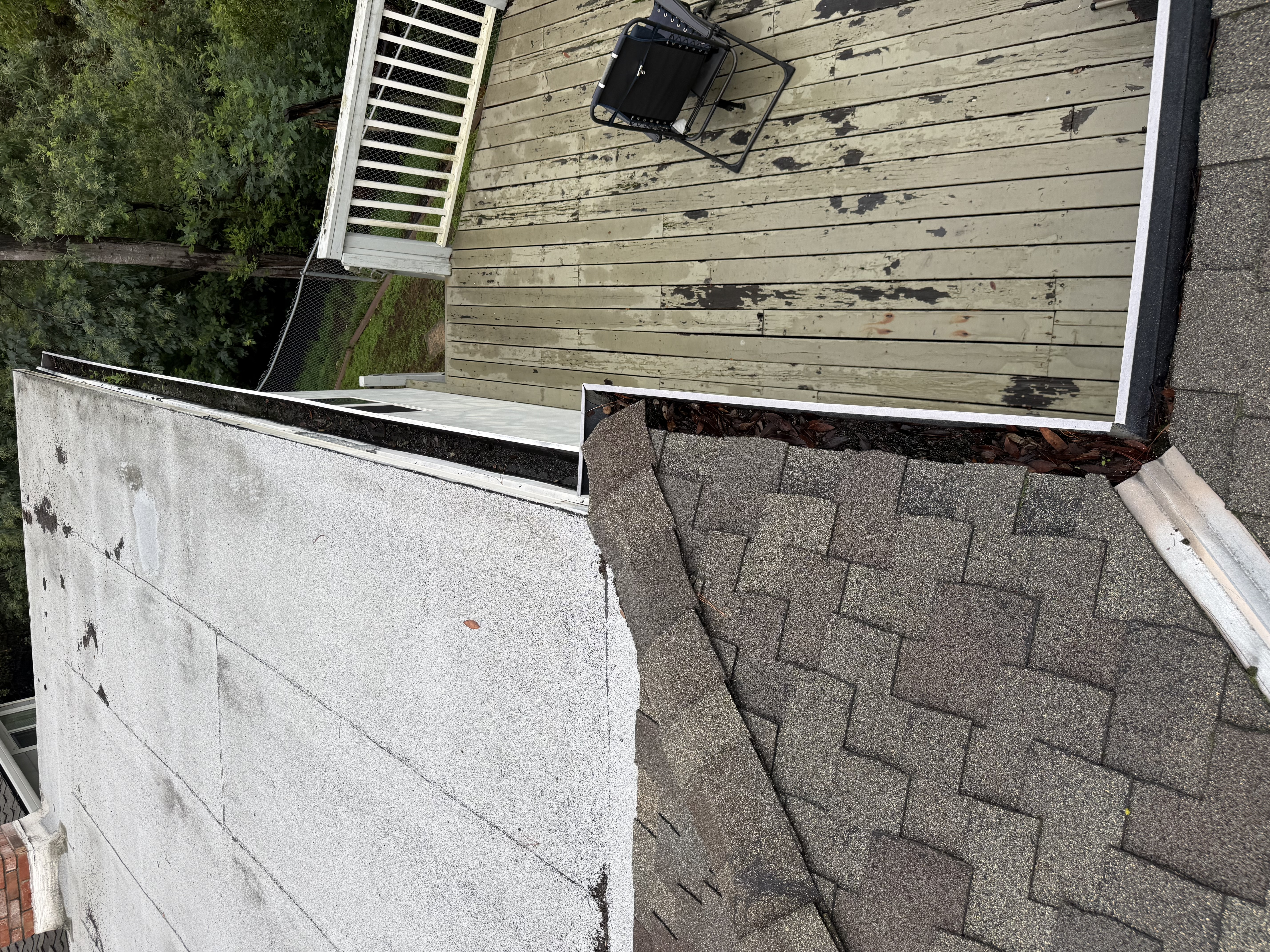 Before — Oakland Hills roof surface covered with eucalyptus and leaf debris