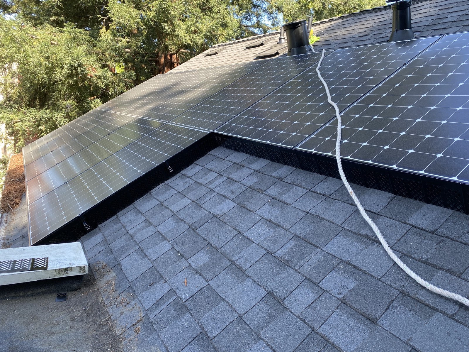 After — hardware cloth exclusion installed on a Palo Alto eave