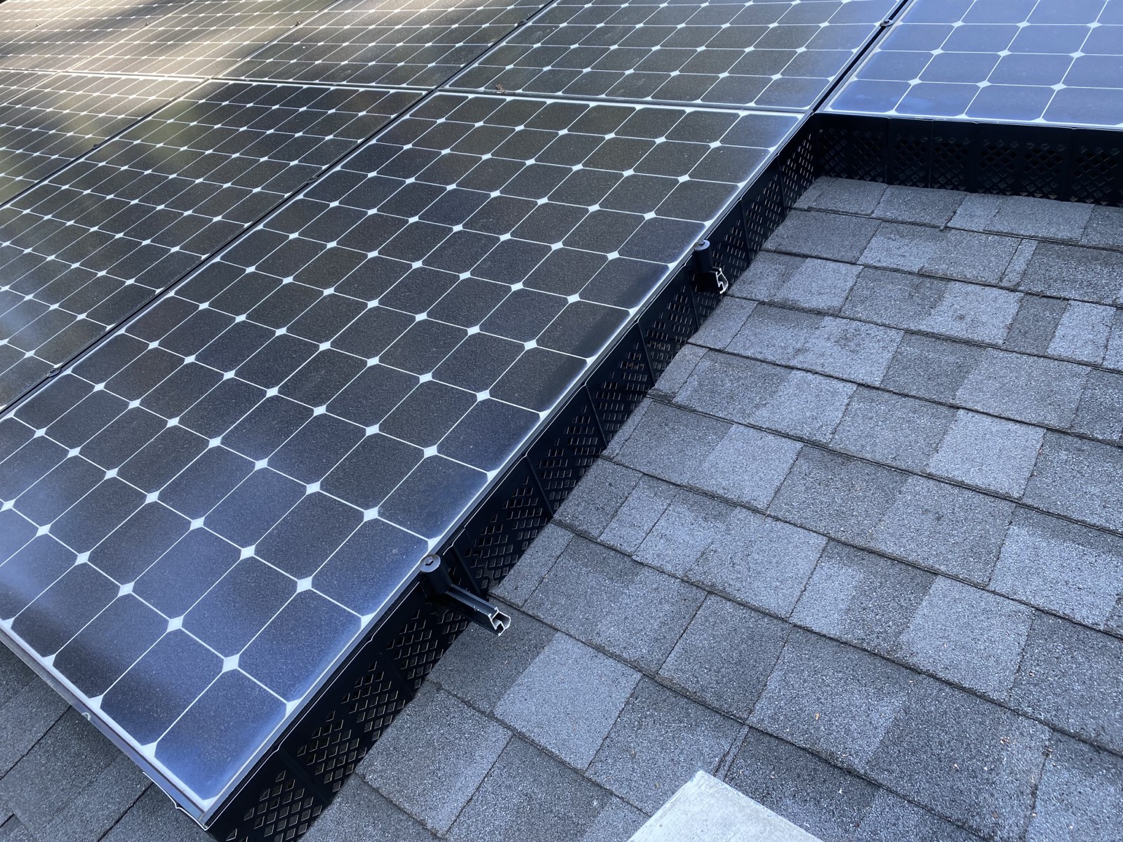 After — perimeter seal complete on the Palo Alto bird proofing job