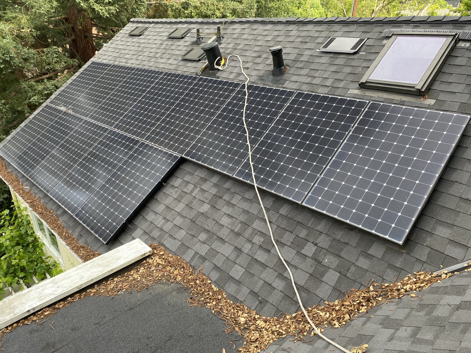 Before — active pigeon roost on a Palo Alto roofline, the same buildup we clear from under San Jose solar panels