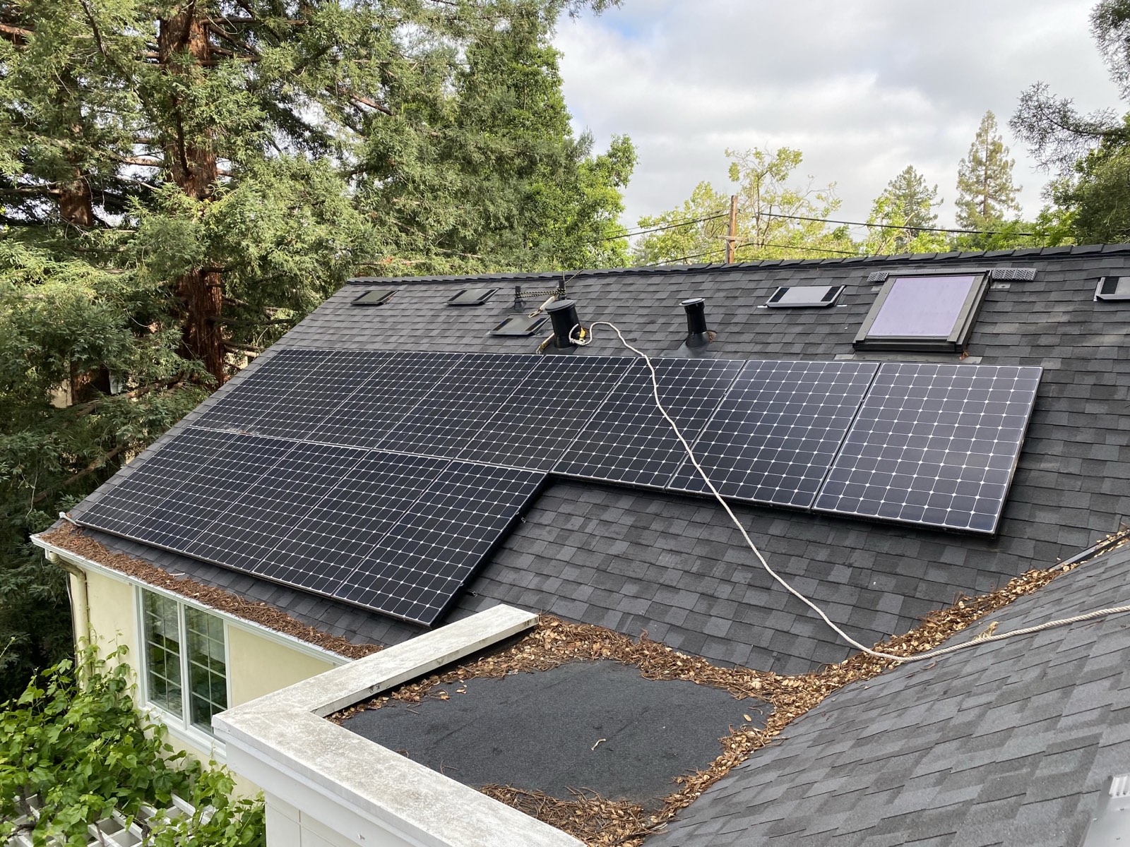 Before — heavy nesting material in a Palo Alto eave prior to exclusion