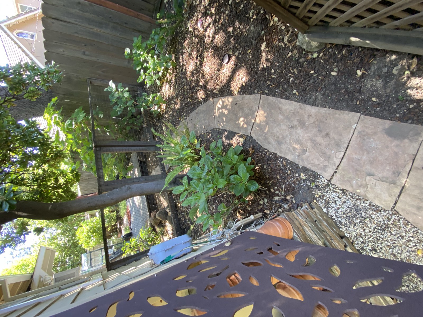 Before — Palo Alto flagstone surface, joints filled with moss and debris