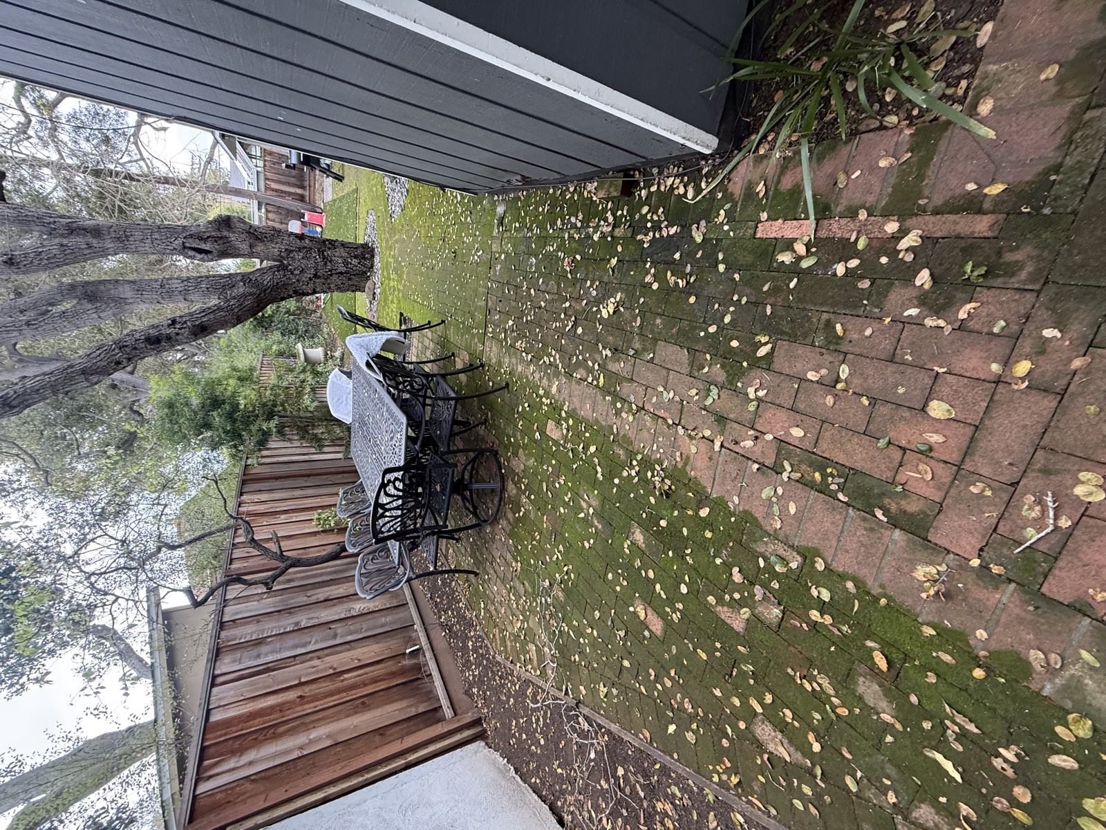 Before — Palo Alto walkway pavers with biological growth before pressure washing