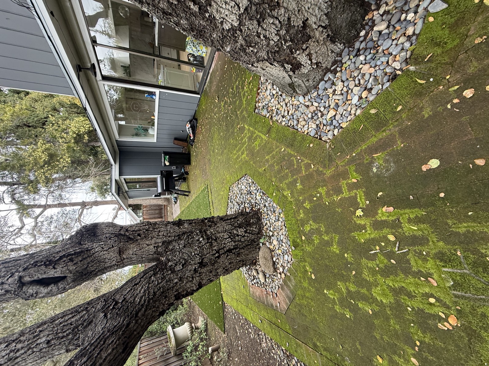 Before — Palo Alto patio area overview showing staining and algae growth