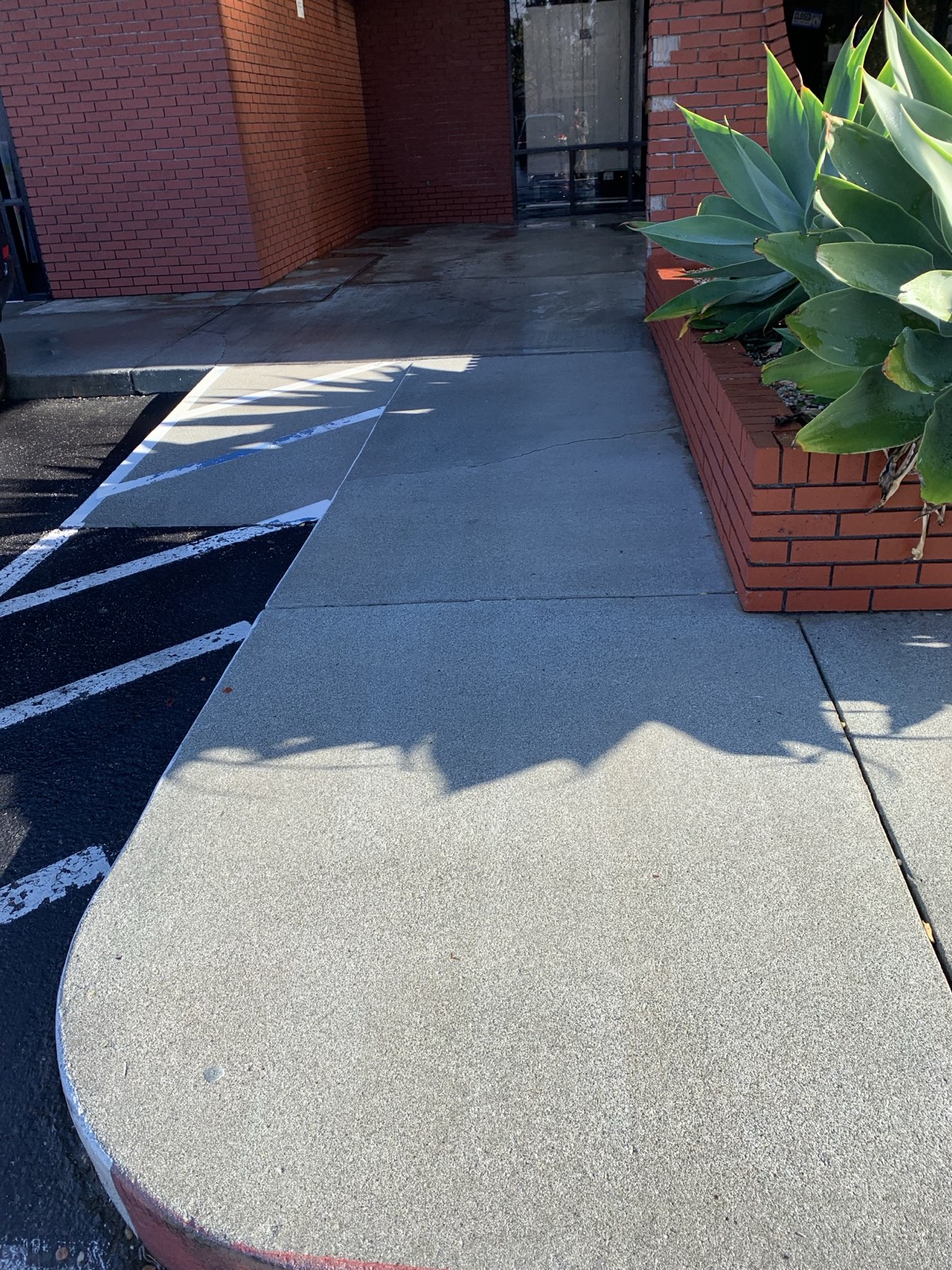 After — cleaned walkway curving past the brick planter at the San Jose commercial property