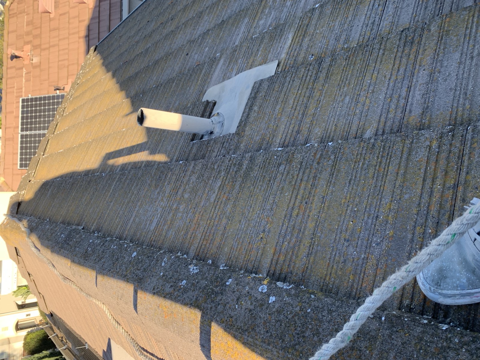 Before — San Jose flat concrete tile roof with algae and moss buildup