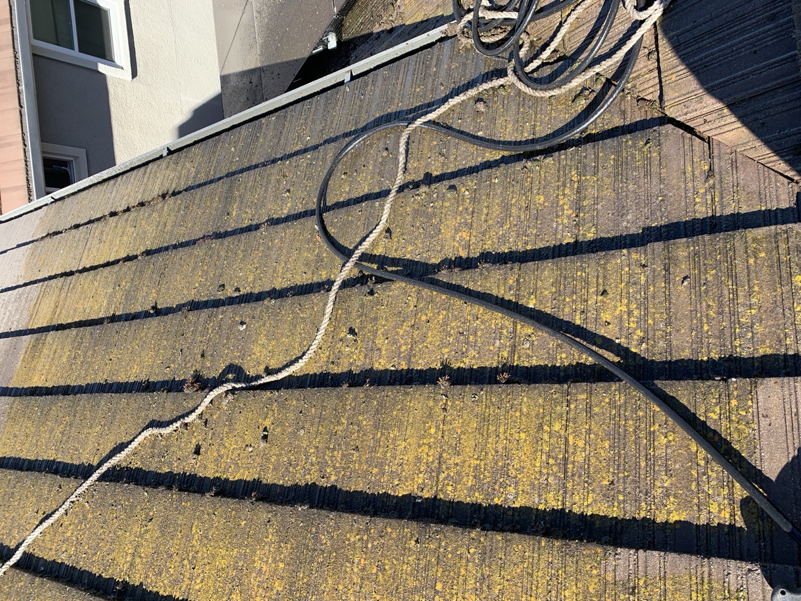 Before — San Jose flat concrete tile with organic staining and lichen