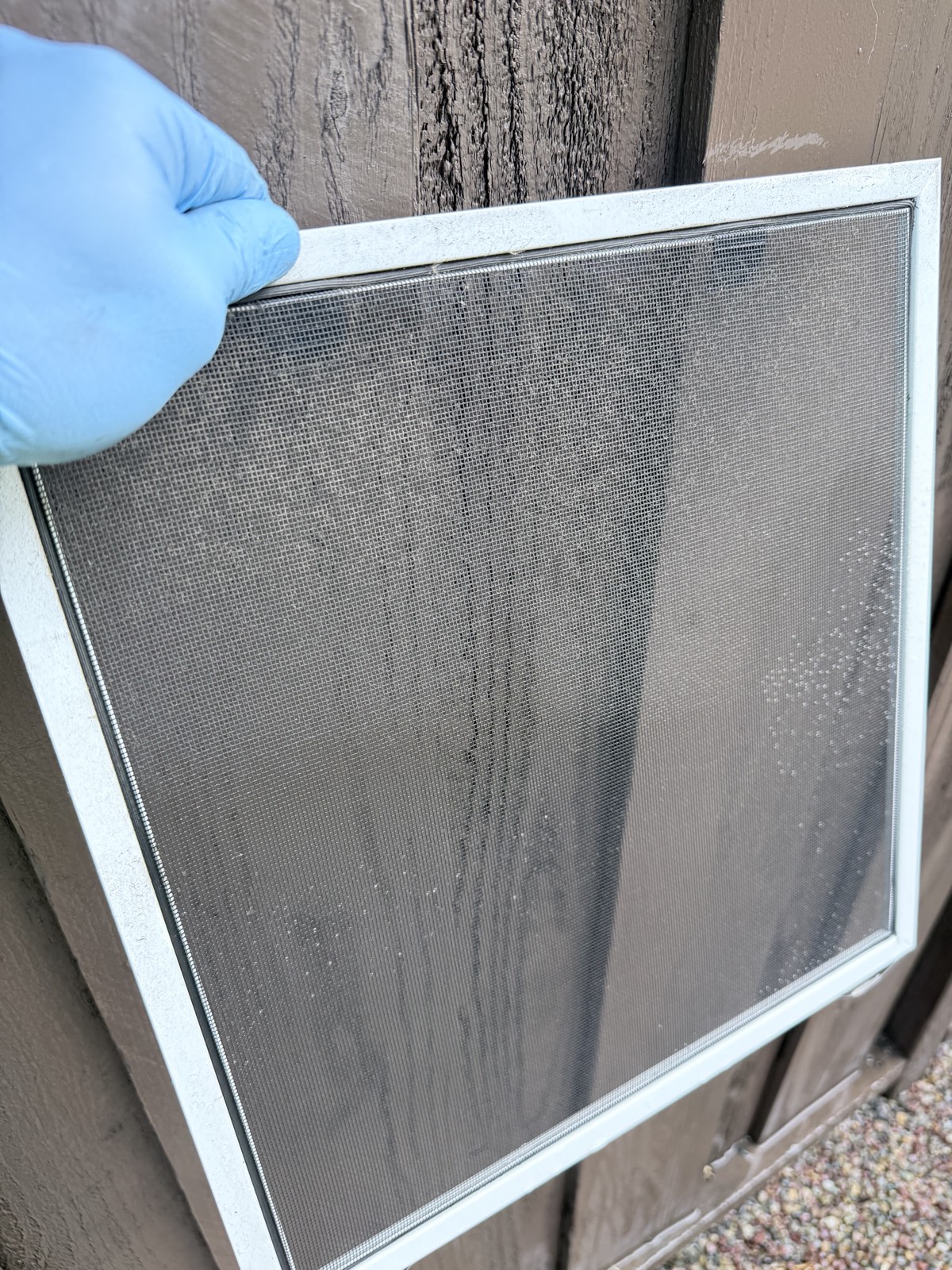 Before — window screen coated in a gray dust film, held up before brushing and rinsing