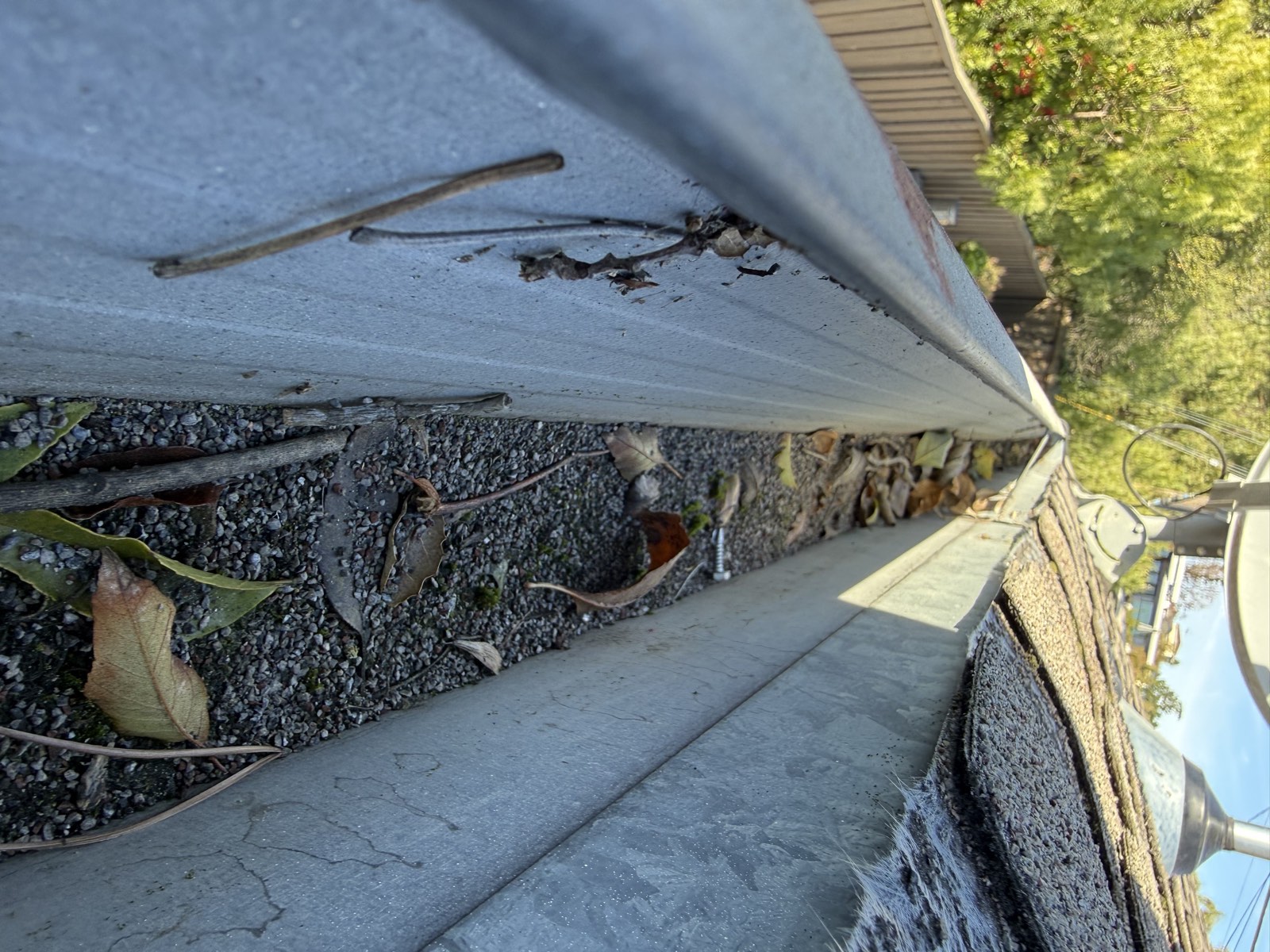 Before — San Mateo gutters packed with debris before cleaning