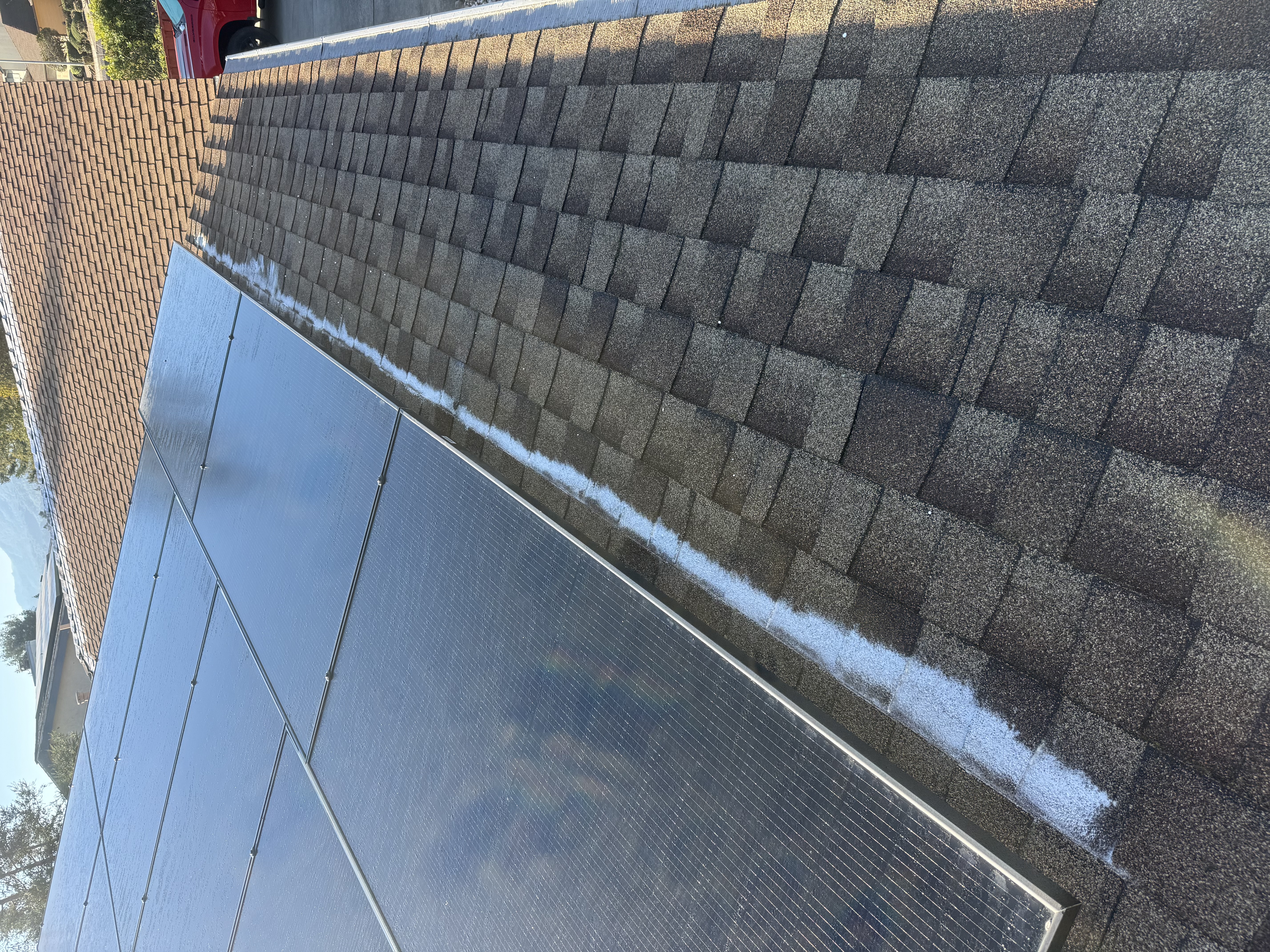 After — San Ramon shingle roof clean after soft wash, moss removed