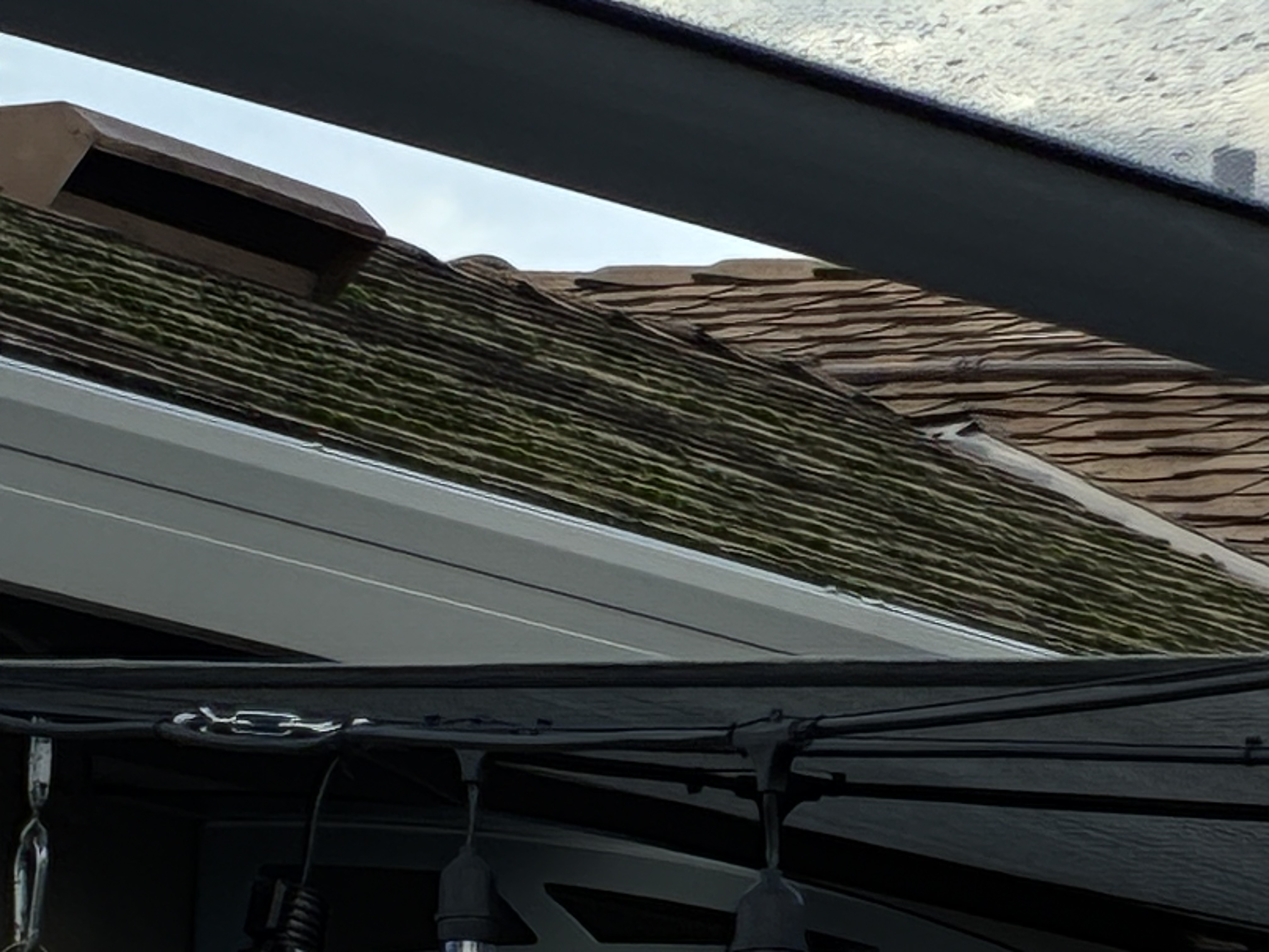 Before — San Ramon asphalt shingle roof overview with algae and moss before treatment