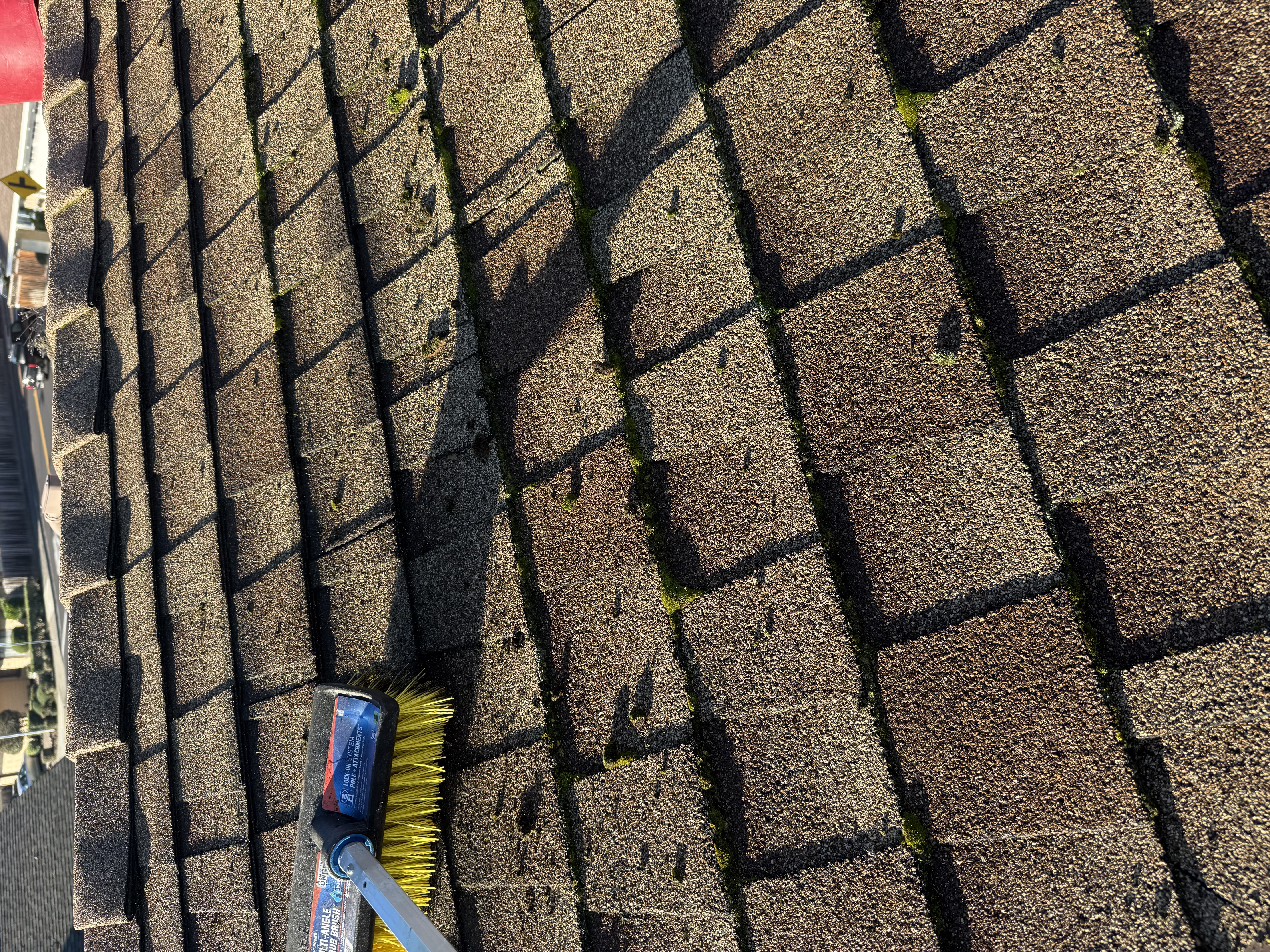 Before — San Ramon shingle roof with dark streaks and moss accumulation before service