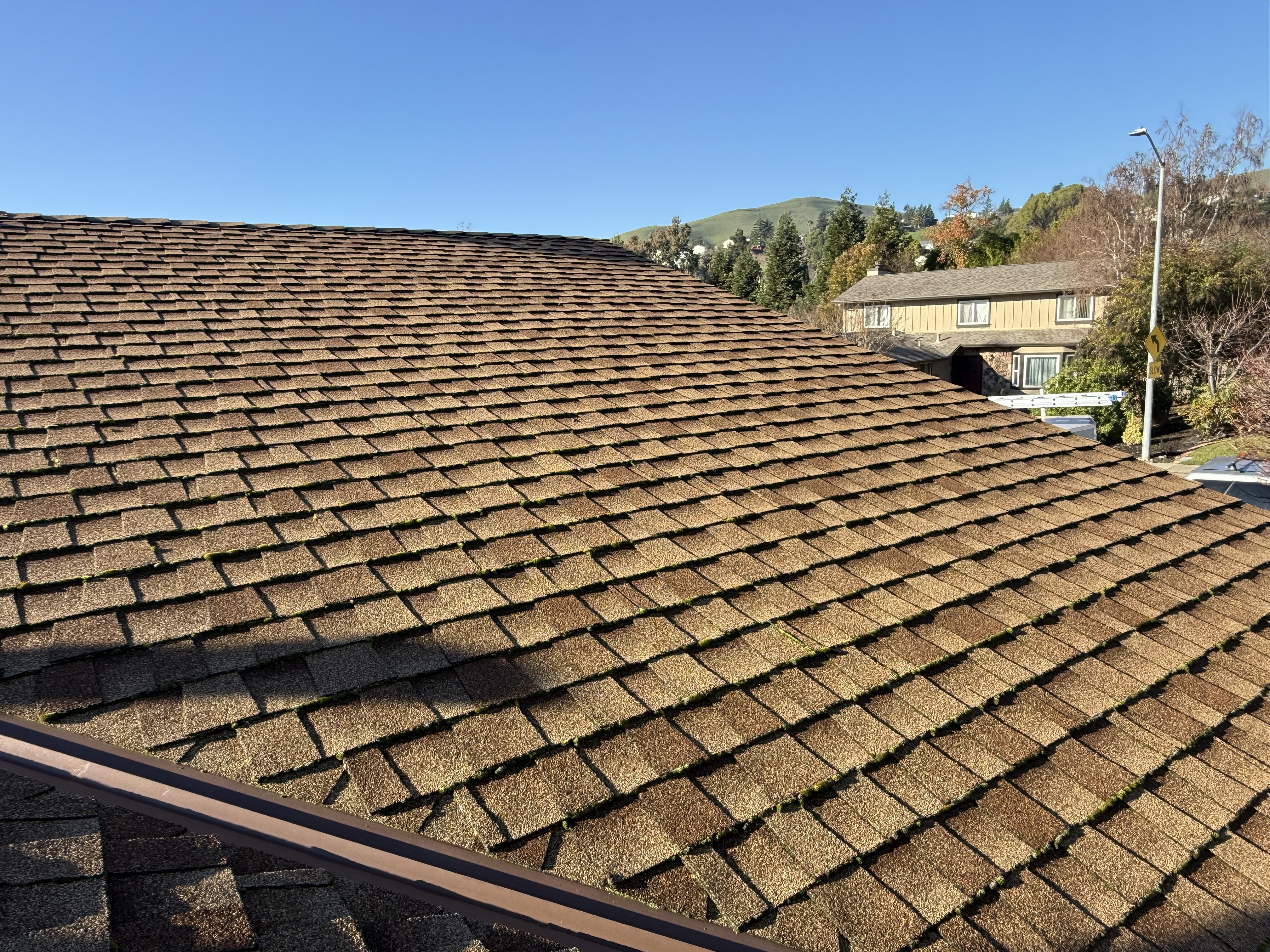 Before — San Ramon shingle roof detail showing algae staining before treatment