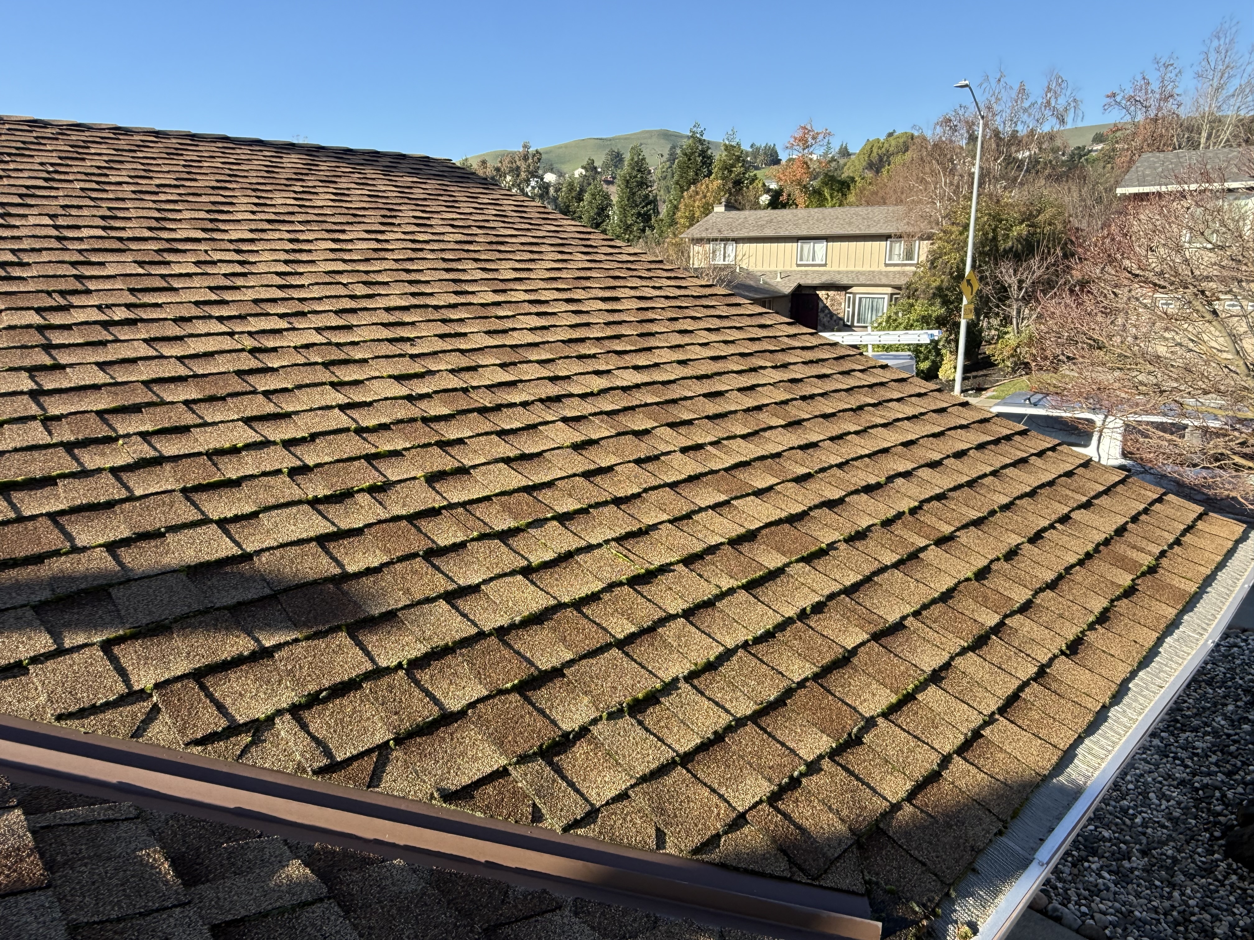 Before — San Ramon asphalt shingle roof full view before roof wash and zinc