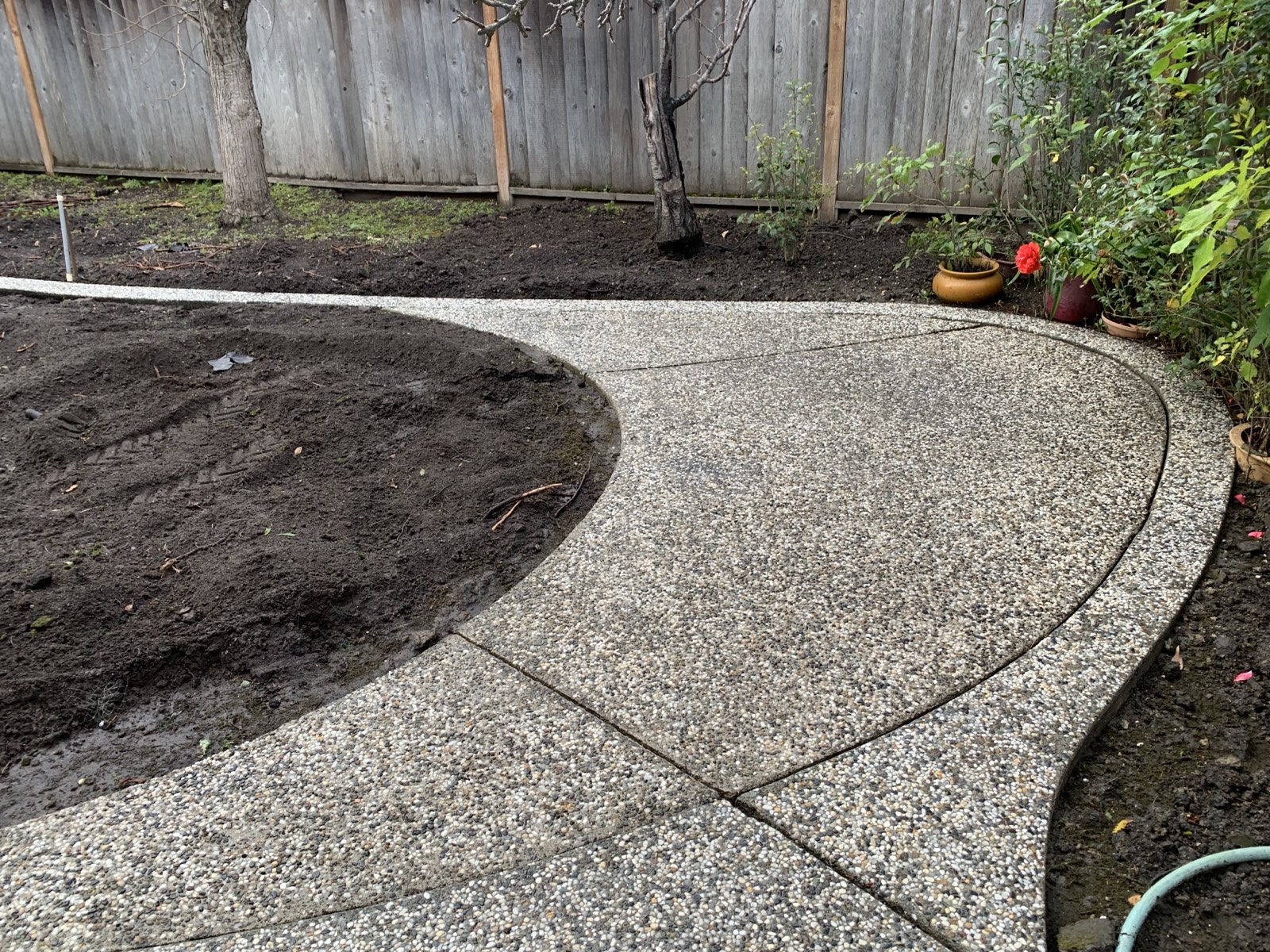 After — Sunnyvale backyard overview after concrete cleaning service