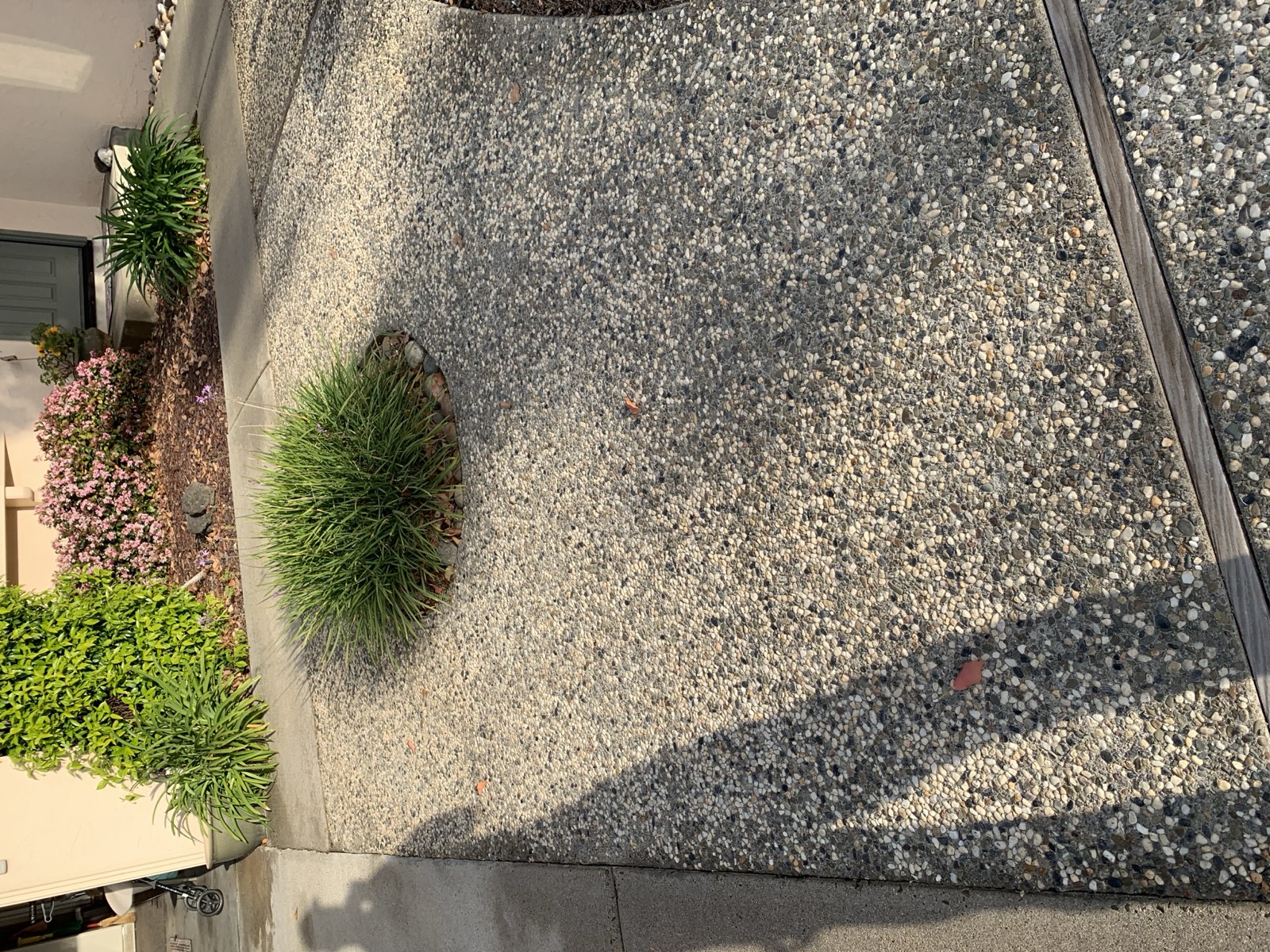 After — Sunnyvale composite deck surface clean after soft wash
