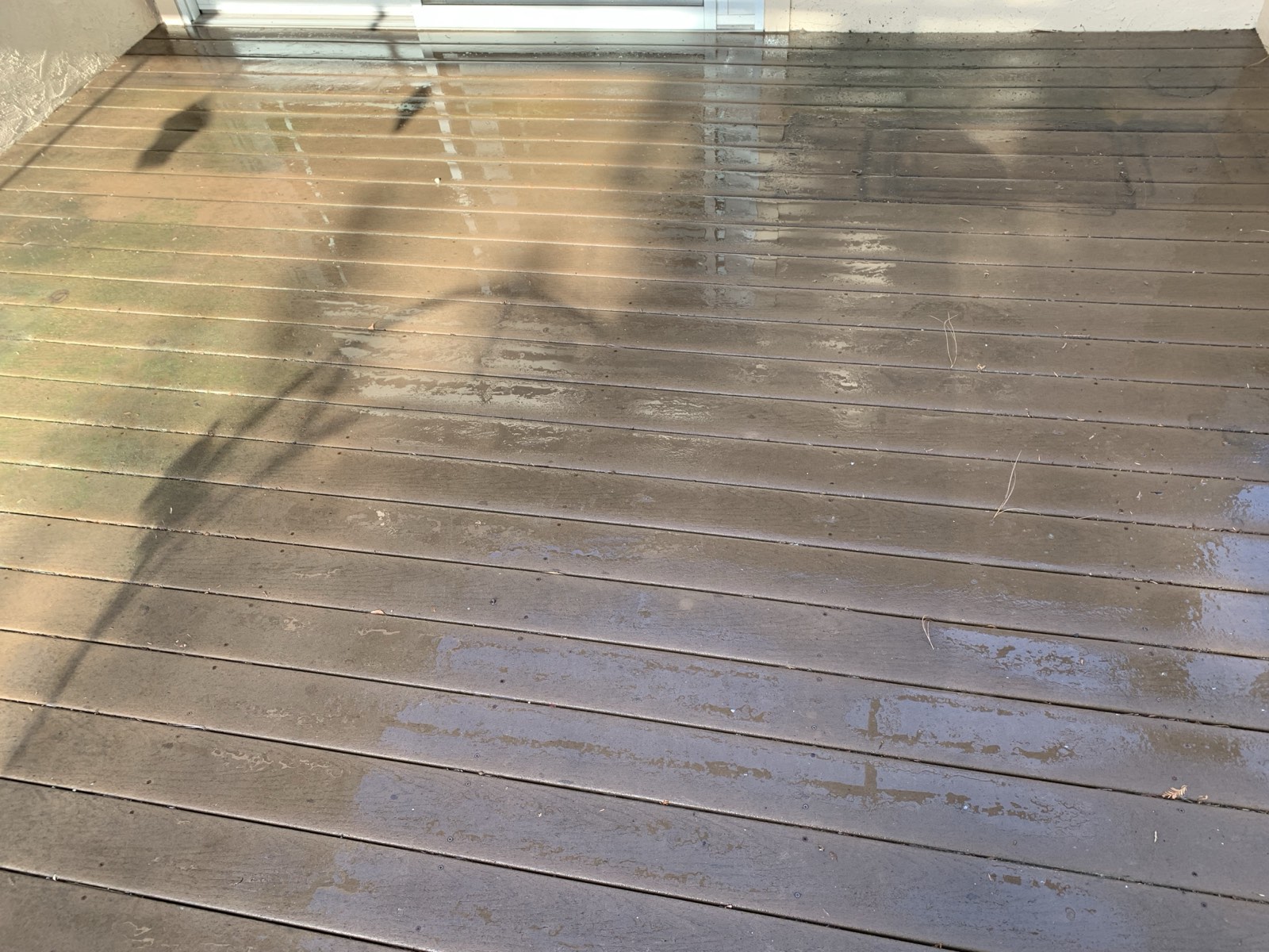 Before — Sunnyvale driveway with staining and surface buildup