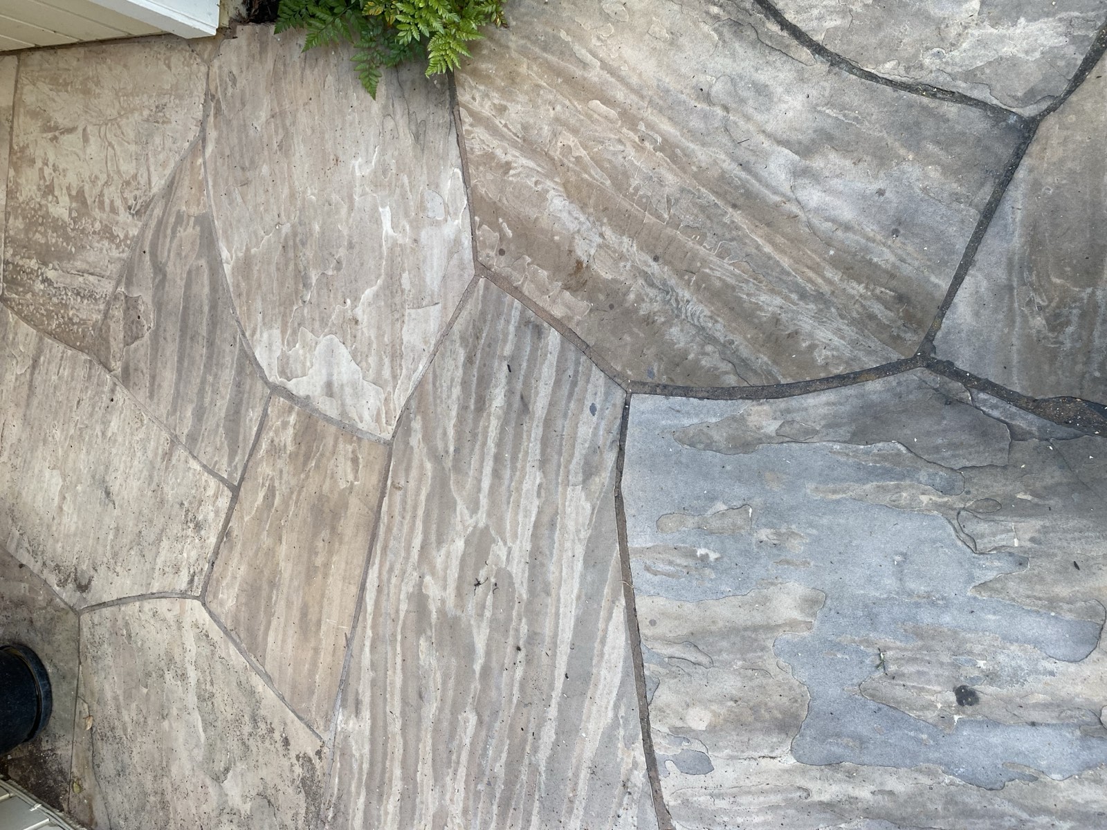 Before — Sunnyvale flagstone surface heavily stained before cleaning