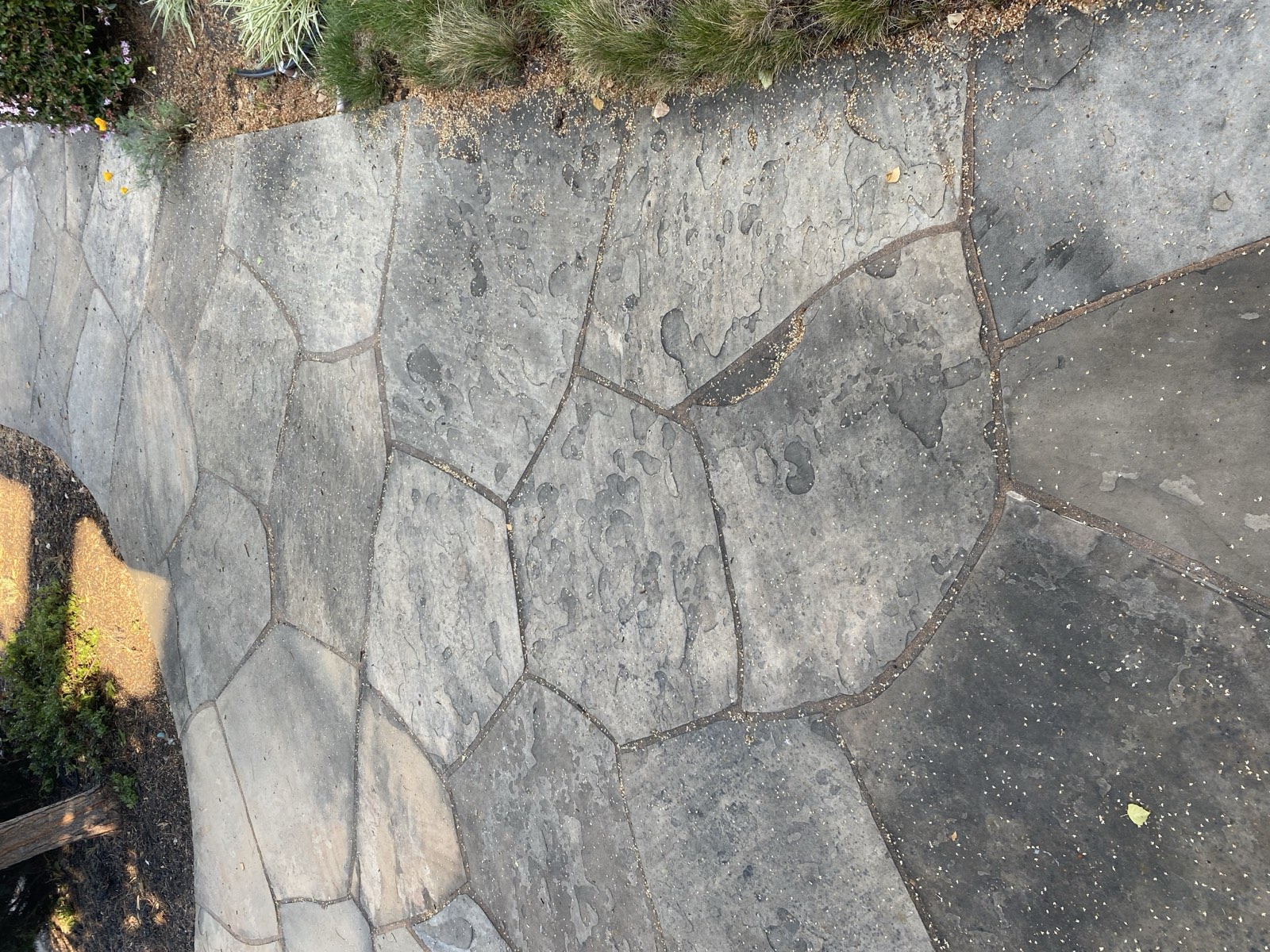 Before — Sunnyvale flagstone walkway discolored with moss and algae